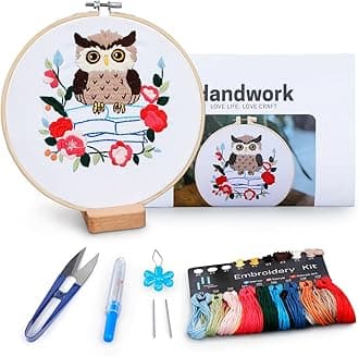 Owl Embroidery Kit, Embroidery Kit for Adult, Owl Pattern Practice Kit, Including Video Step by Step Instructions, Embroidery Hoop, Cloth, Needles and Thread for DIY Craft Lover (BEO012)