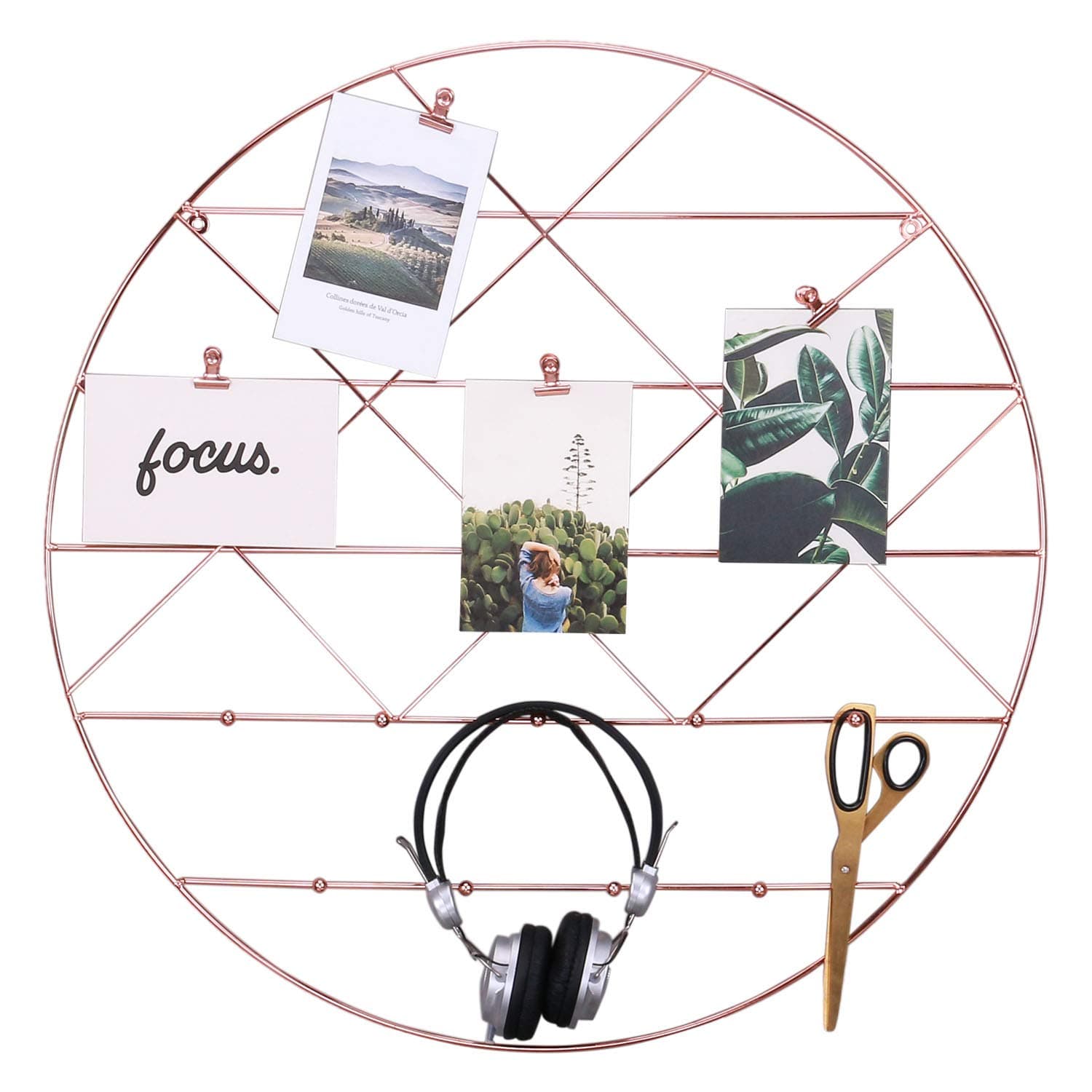 PLINRISE Round Wall Gird Panel, Multifunctional Wire Photo Organizer & Hanging Display, Decorative Wall Storage Organizer Rack with Coat Hook, Rose Gold