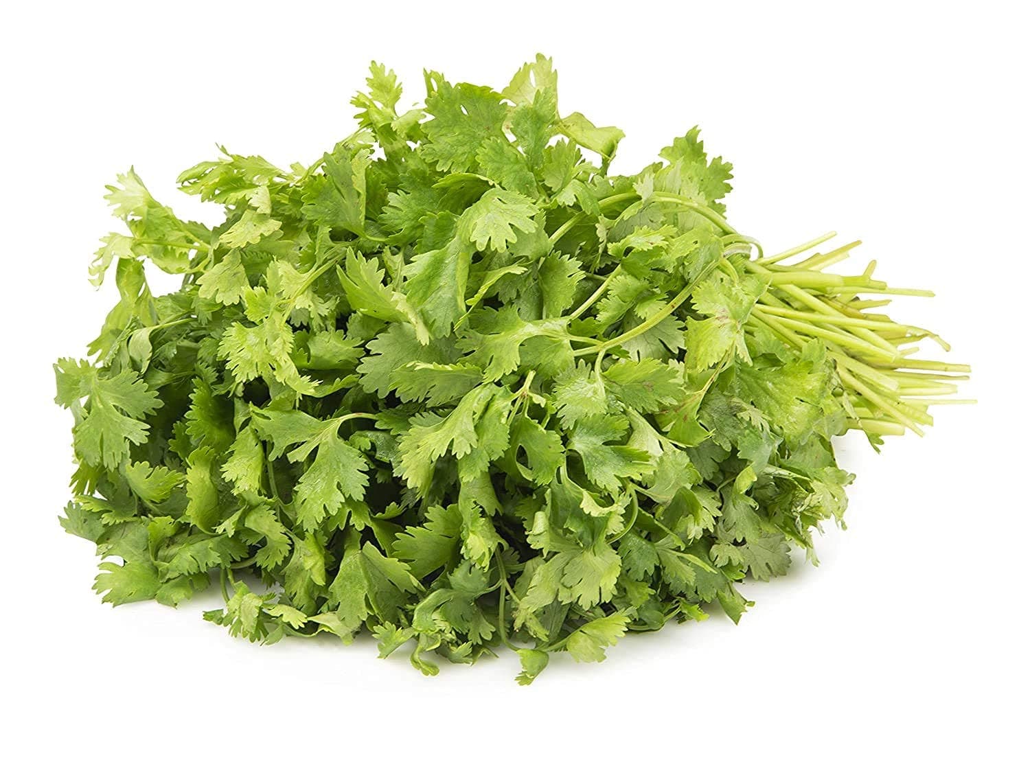 Coriander, 100 g - Naturally Grown.