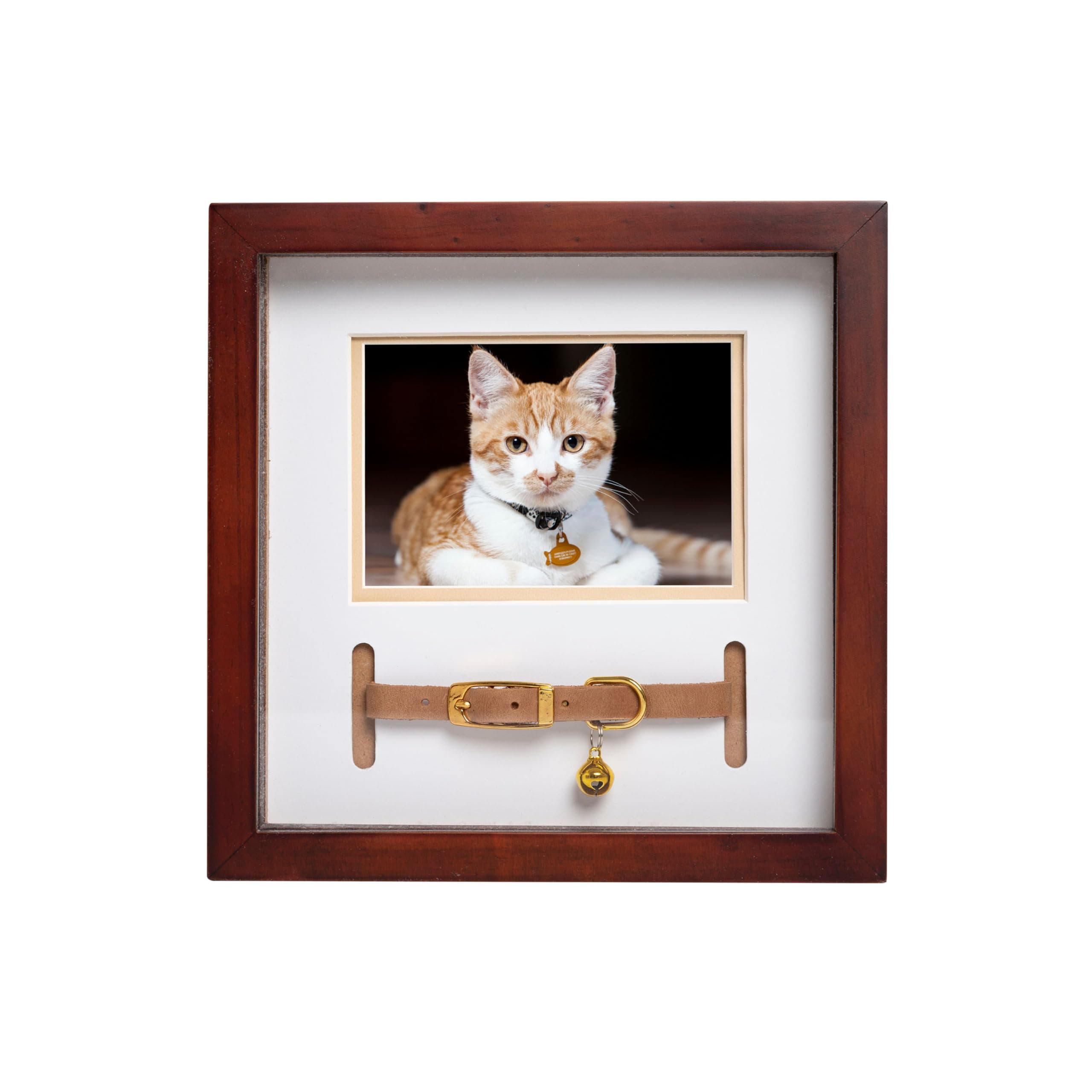 Pearhead Pet Collar Keepsake Frame - Dual Display Memorial Keepsake for Cat & Dog Collars, Wall Mount or Tabletop, and Home Decor for Pet Owners, Espresso