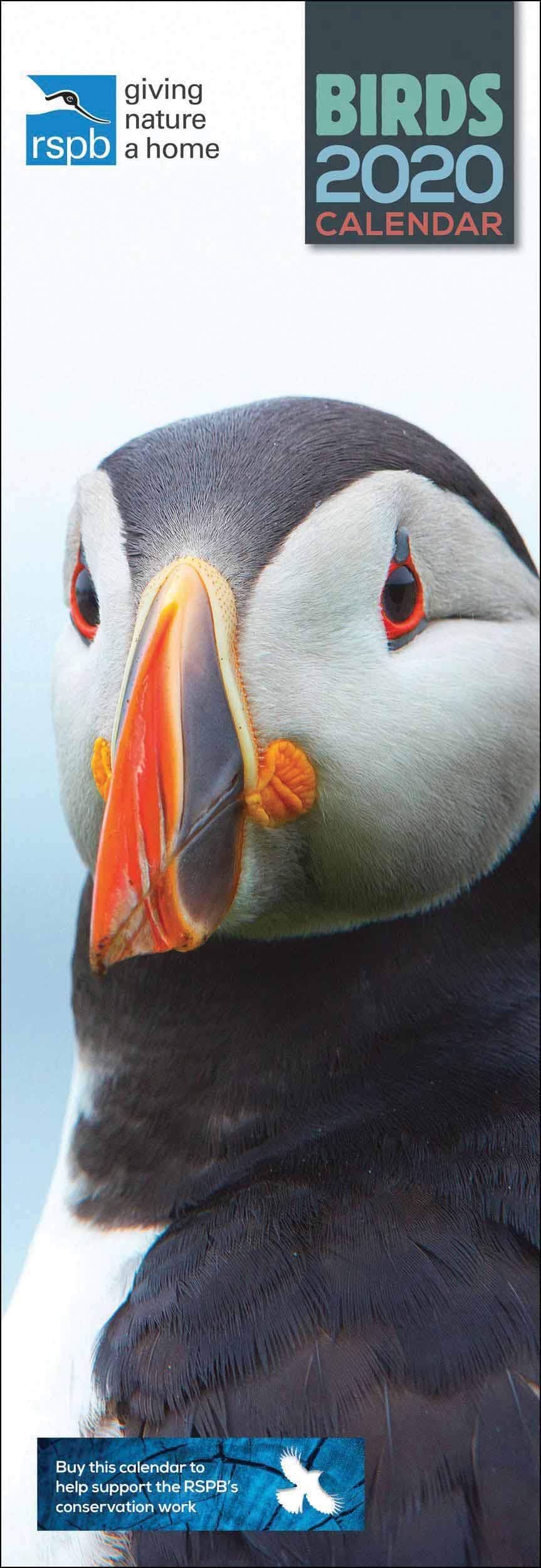 RSPB Birds Slim Calendar 2020