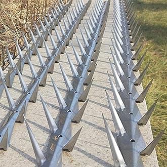 HM&DX Outdoor Wall Metal Spikes with Screws,Security Fence Bird Pigeon Spikes,Hot Dip Galvanized Anti-Theft Anti Climbing Spikes for Roof Walls Railing(S, Galvanized)