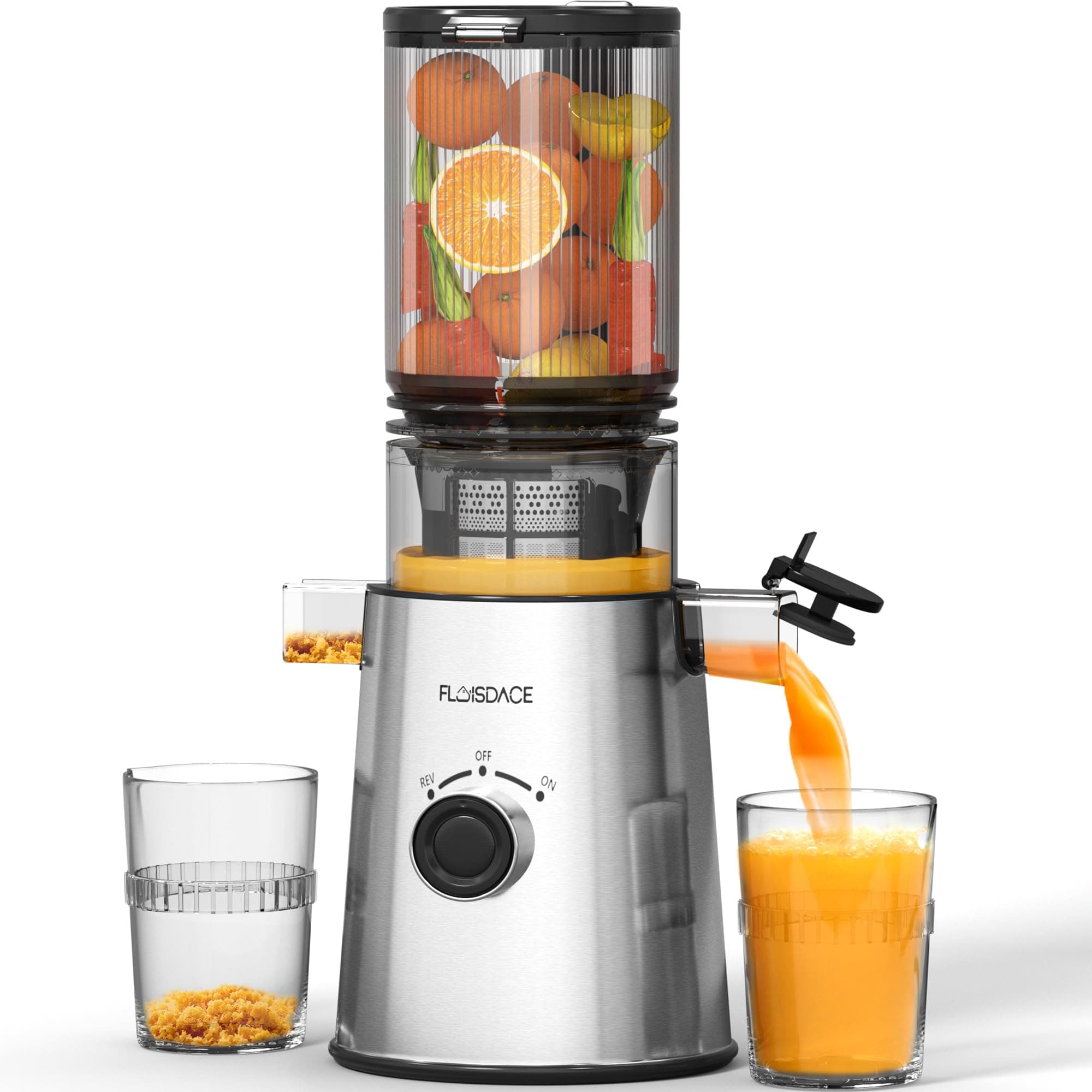 Cold Press Juicer, Masticating Juicer with Large Feed Chute Fit Whole Fruits & Vegetables,Stainless Steel Slow Masticating Juicer Easy to Clean, 99.6% Juice Purity, Metallic Silve