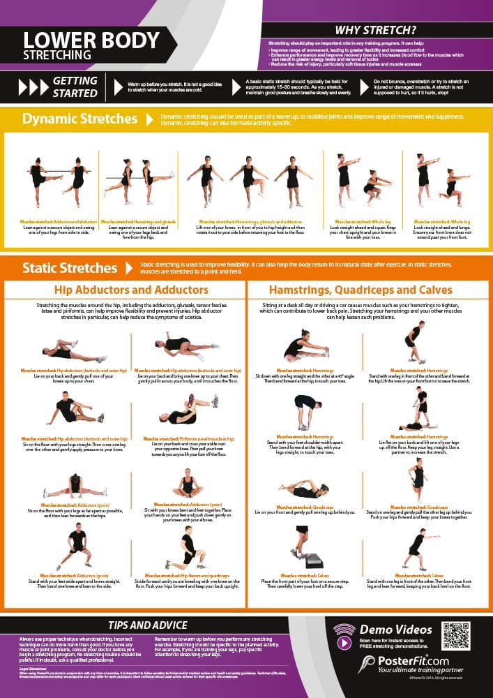 Lower Body Stretching | Dynamic & Static Stretches | Laminated Home & Gym Poster | FREE Online Video Training Support | Size - 841mm x 594mm (A1) | Improves Personal Fitness & Flexibility
