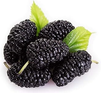 Fresh Mulberry,Fresh,125 Gram
