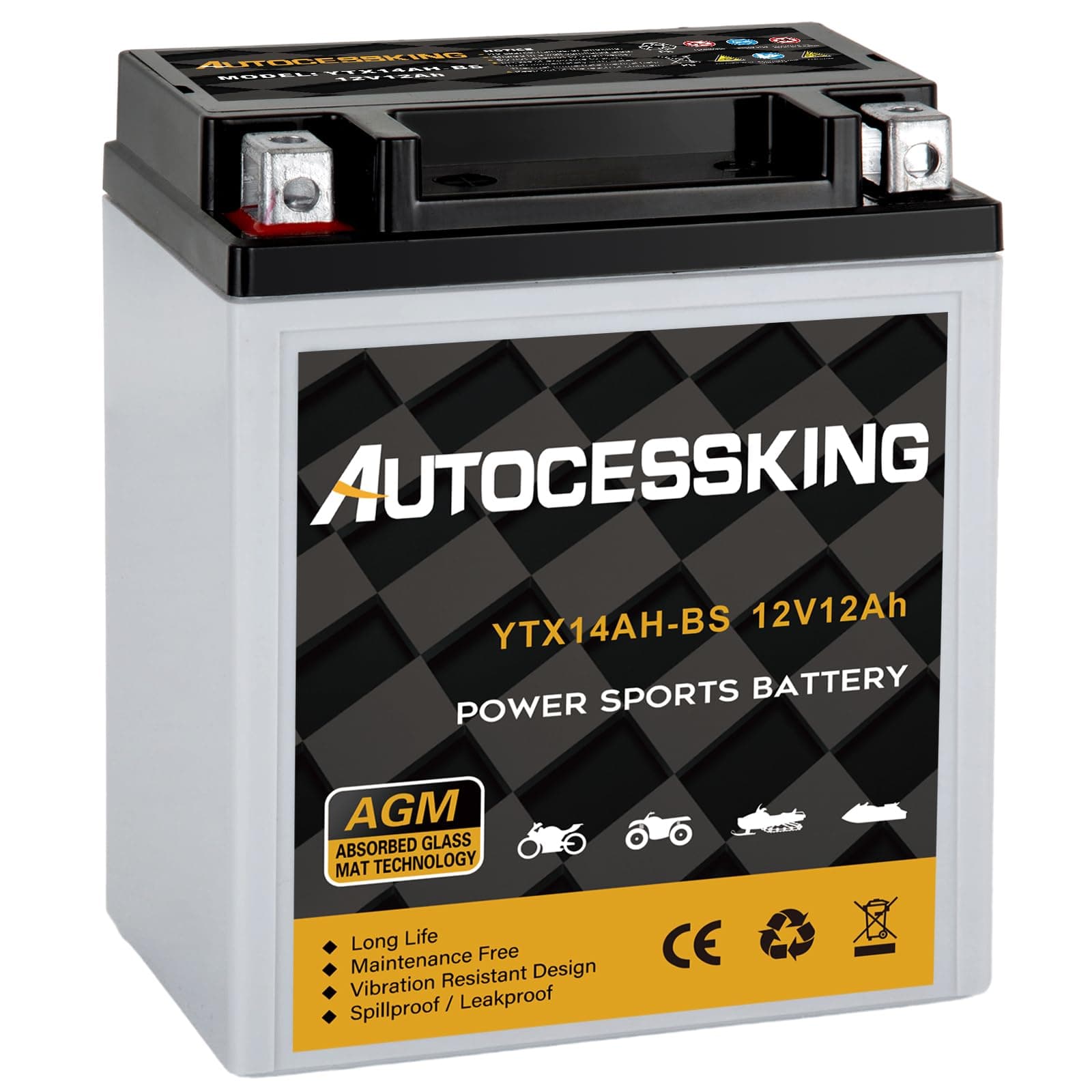 YTX14AH-BS 12V 12Ah Battery, Rechargeable Sealed AGM Battery Maintenance Free Powersport Replacement Battery for Motorcycle, ATV and Scooter