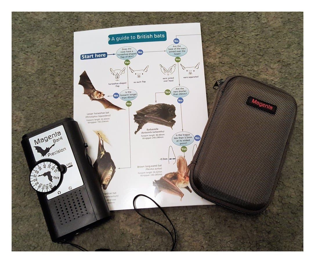 Magenta Bat Detector Kit - including Bat 4 Detector +Hard Zip Case + Field Guide to British Bats …