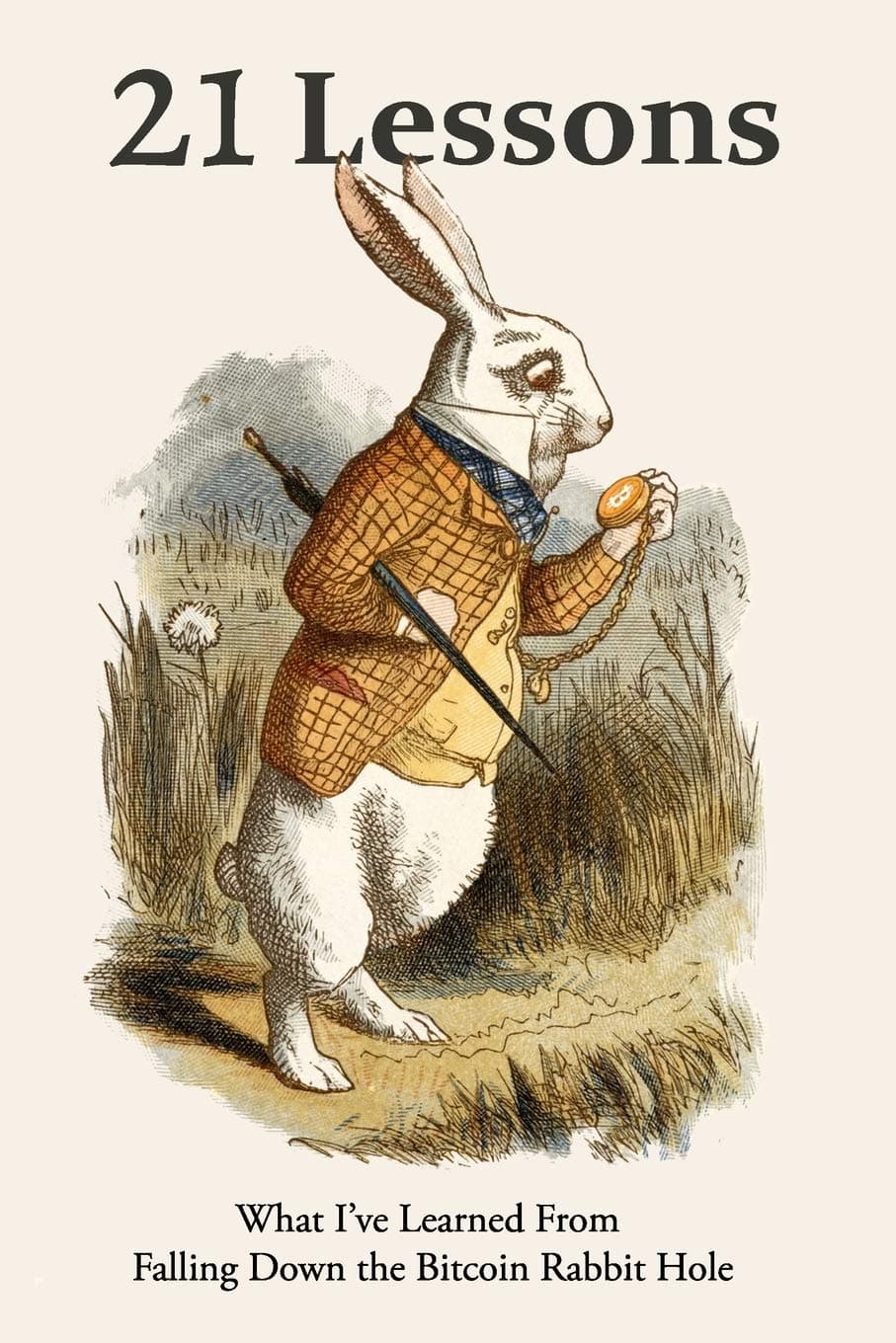 21 Lessons: What I've Learned from Falling Down the Bitcoin Rabbit Hole Paperback – December 18, 2019