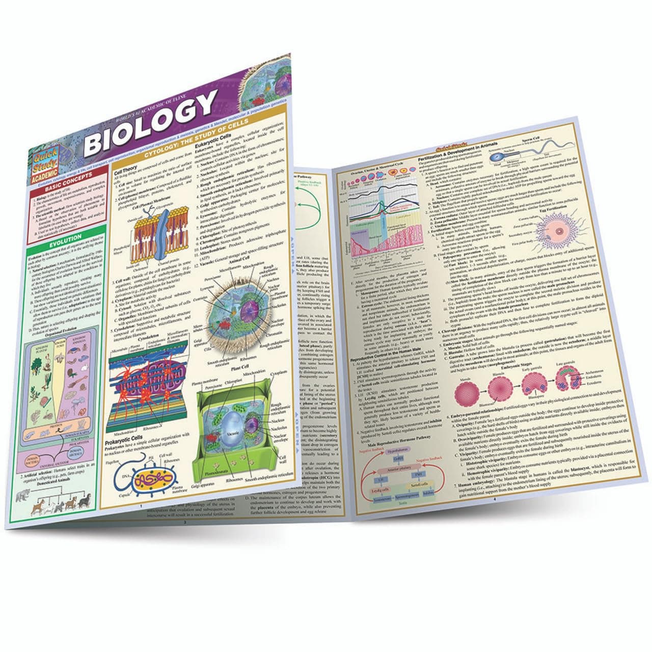 Biology: a QuickStudy Laminated Reference Guide (Quick Study Academic)