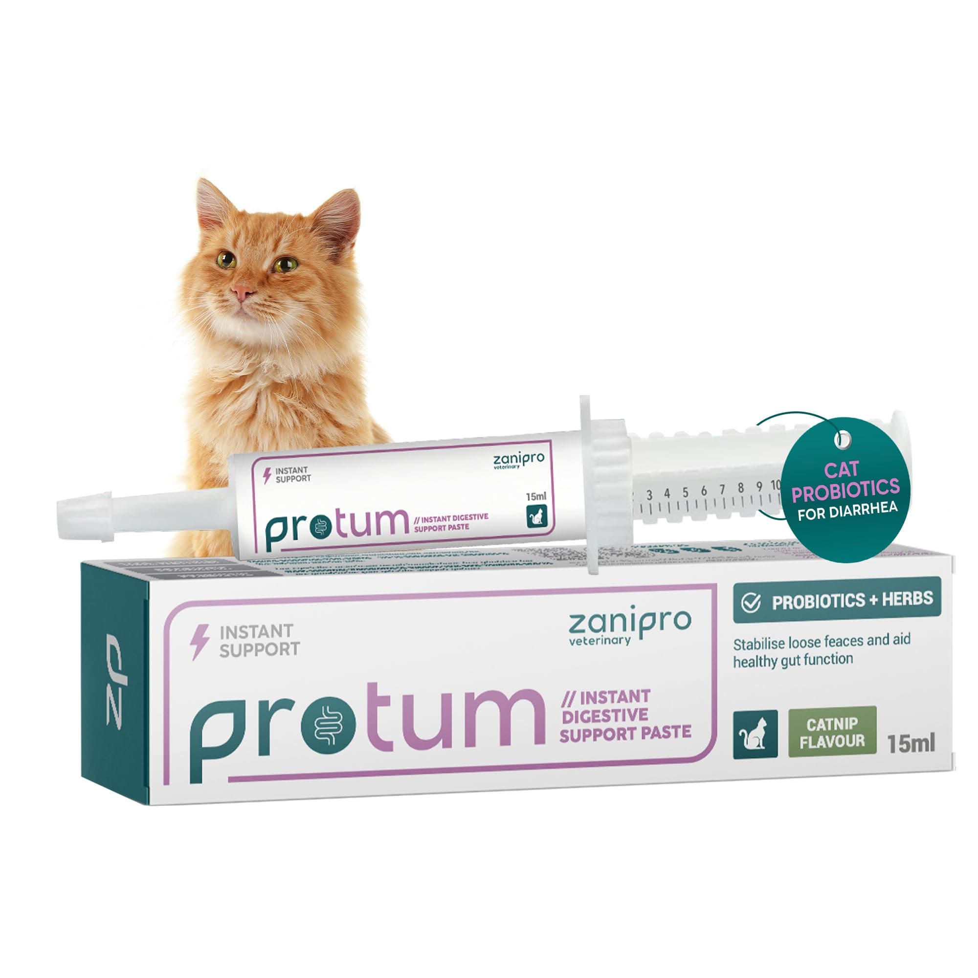 Probiotics for Cats Paste 15ml, Cat Diarrhea Treatment, Advanced Prebiotic for Cats, Natural Diarrhea Relief for Cats, Restore Digestion, Loose Stools & Gut Balance - Catnip Flavoured
