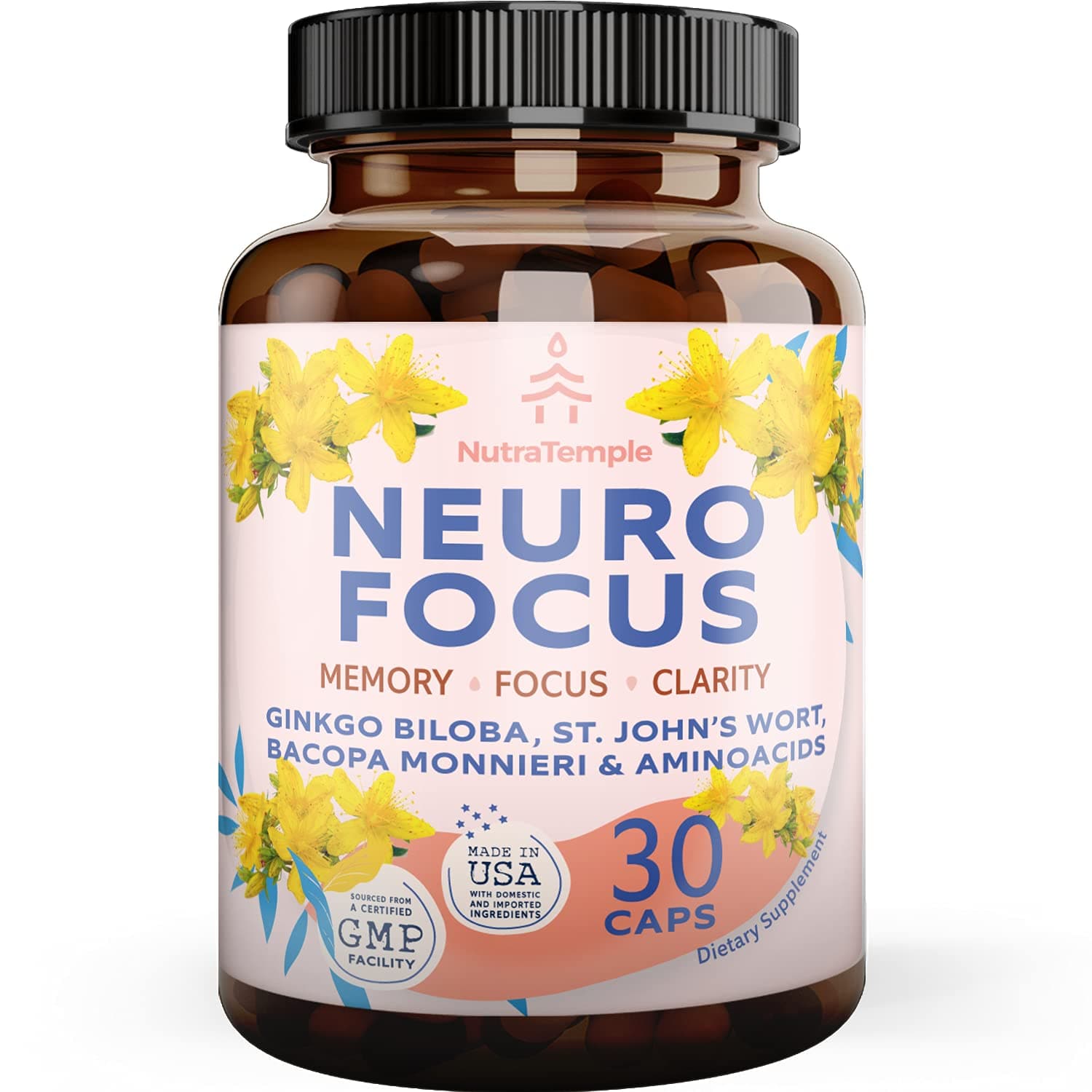 Brain Booster Gingko Biloba Supplement - Nootropics for Mind, Focus, Memory, Clarity with Bacopa Monnieri, St. Johns Wort - 30 Brain Food Capsules