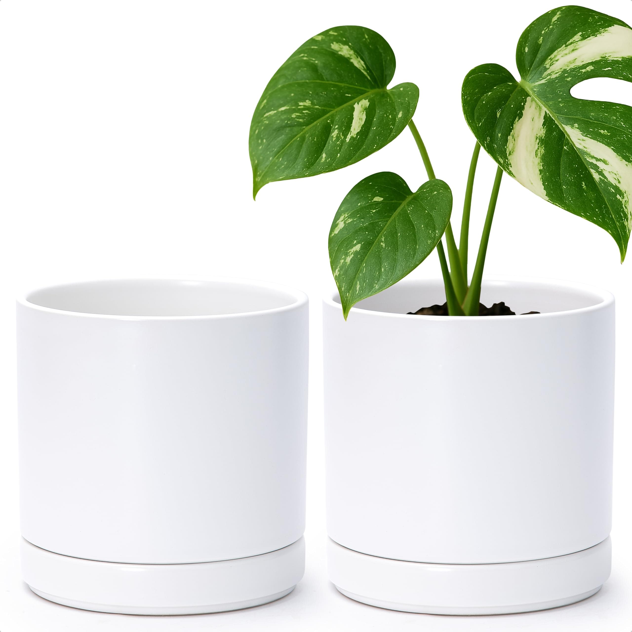 Set of 2 Plants Pots, 6.5 Inch Ceramic Planter Pot for Plants with Drainage Hole and Saucer, White, 94-V-C-1