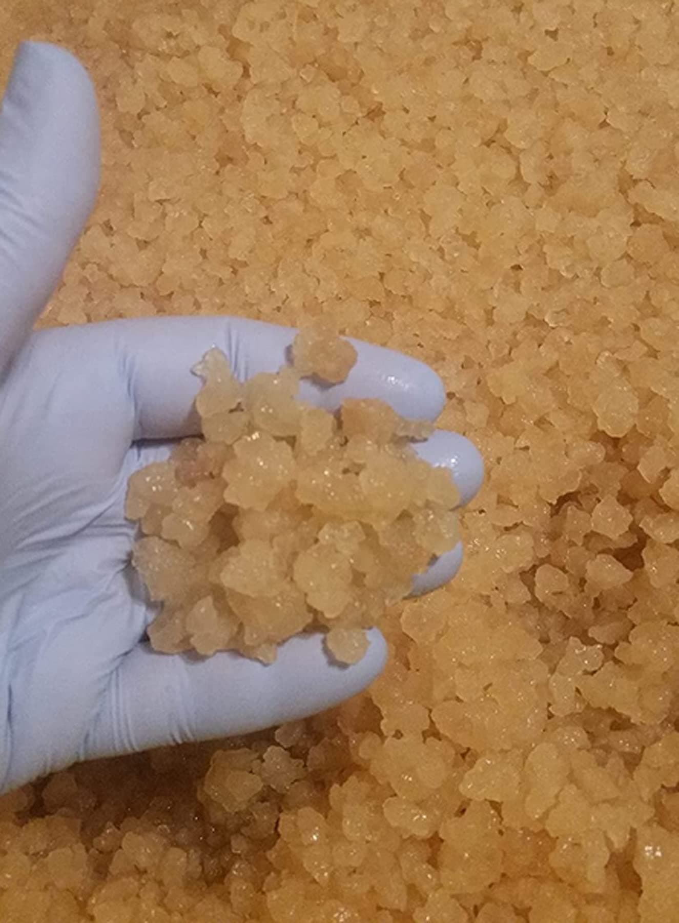 Large Portion Cup with 33% MORE Live Florida Sun Kefir Natural Water Kefir Grains