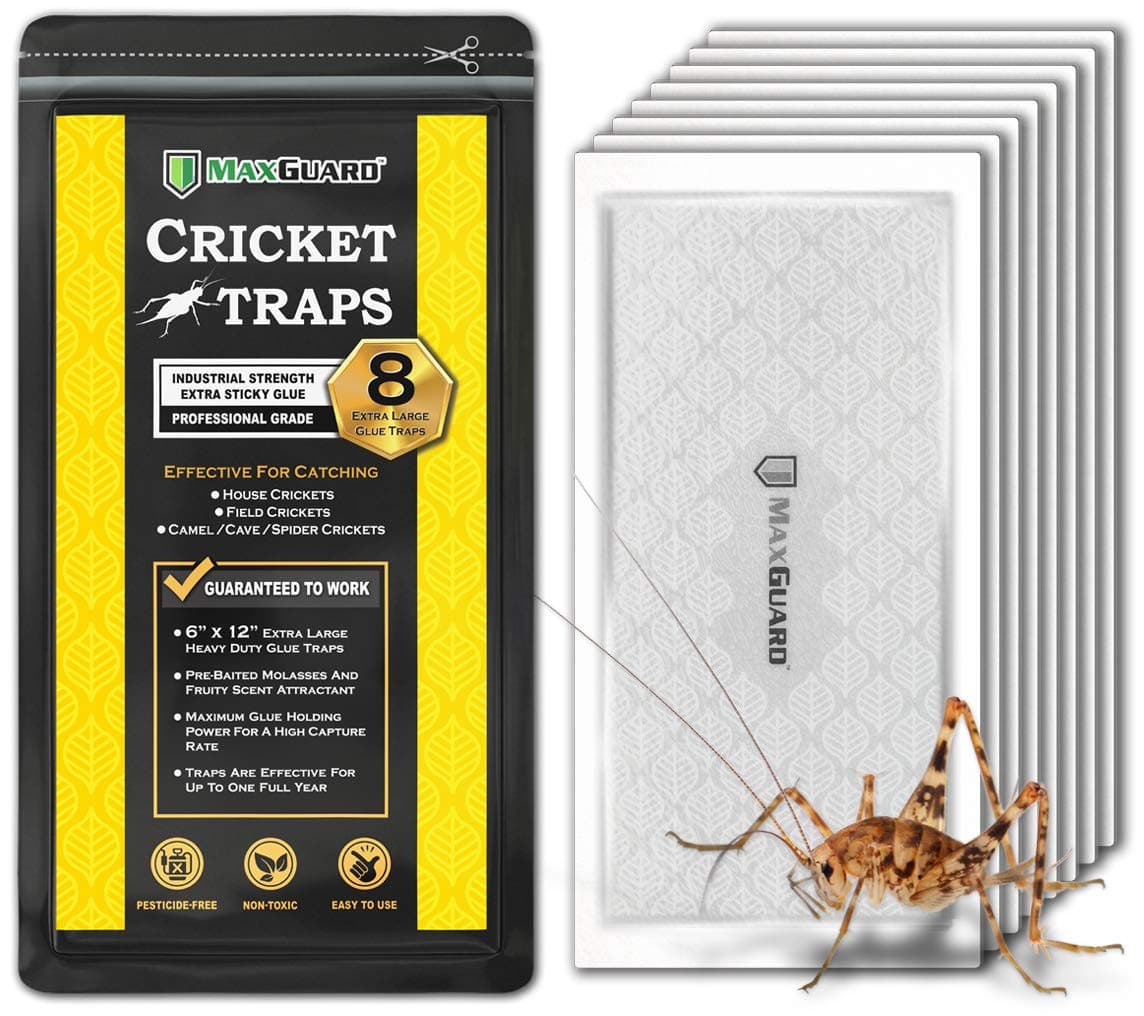 Extra Large Cricket Traps (8 Traps) | Non-Toxic Extra Sticky Glue Board Pre-Baited Cricket Attractant Trap & Kill House Crickets, Insects, Spiders, Bugs