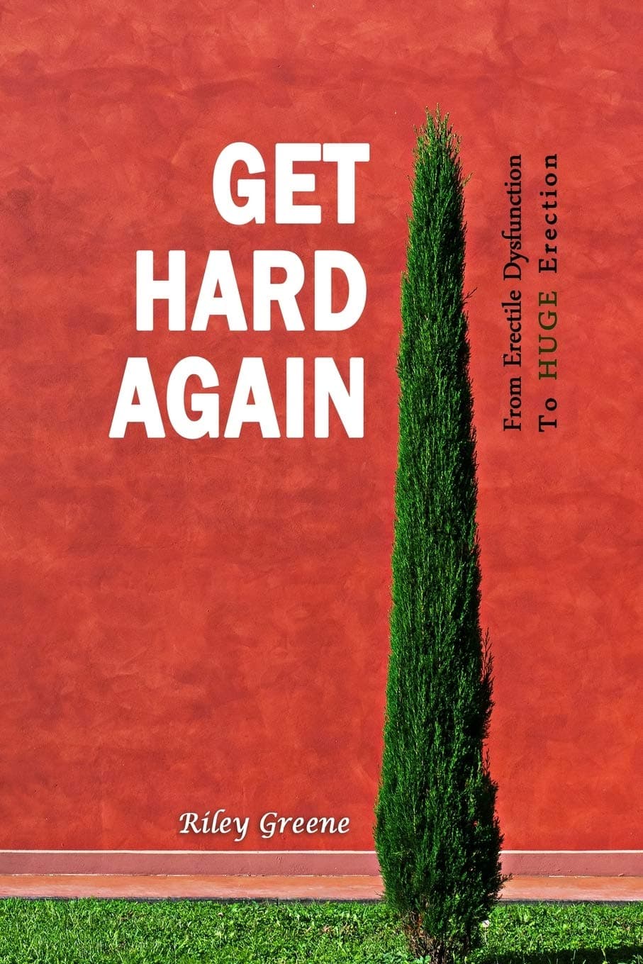 Get Hard Again: From Erectile Dysfunction To Huge Erection