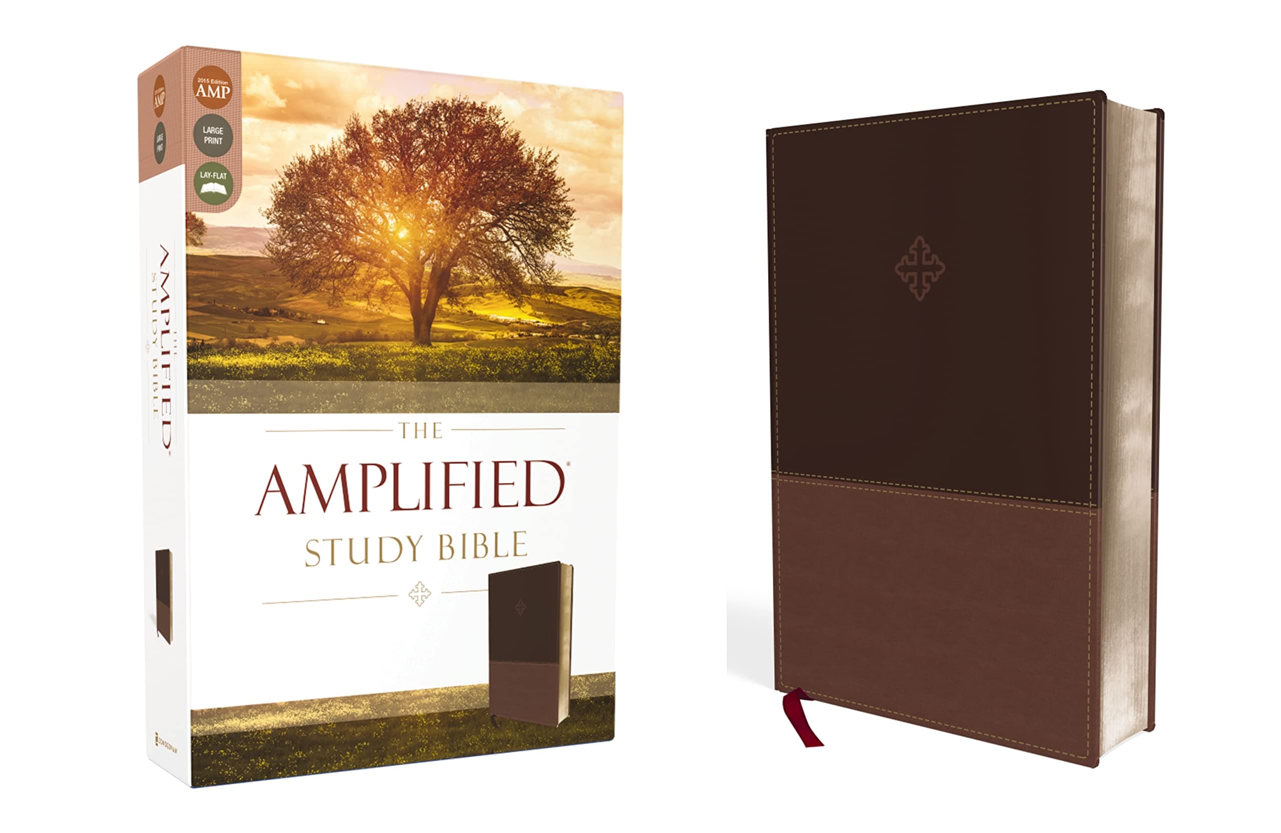The Amplified Study Bible, Leathersoft, Brown [Large Print]