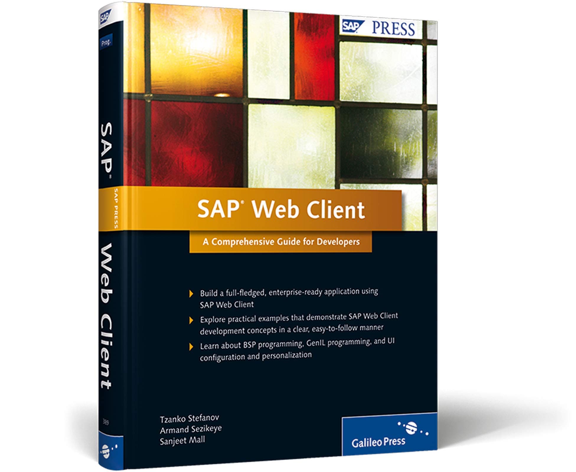 Sap Web Client: A Comprehensive Guide for Developers Hardcover – June 28, 2011
