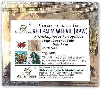 RED PALM WEEVIL LURES(Pack of 5 Lures only) Pheromone Lure for Red Palm Weevil (Rhynchophorus ferrugineus)
