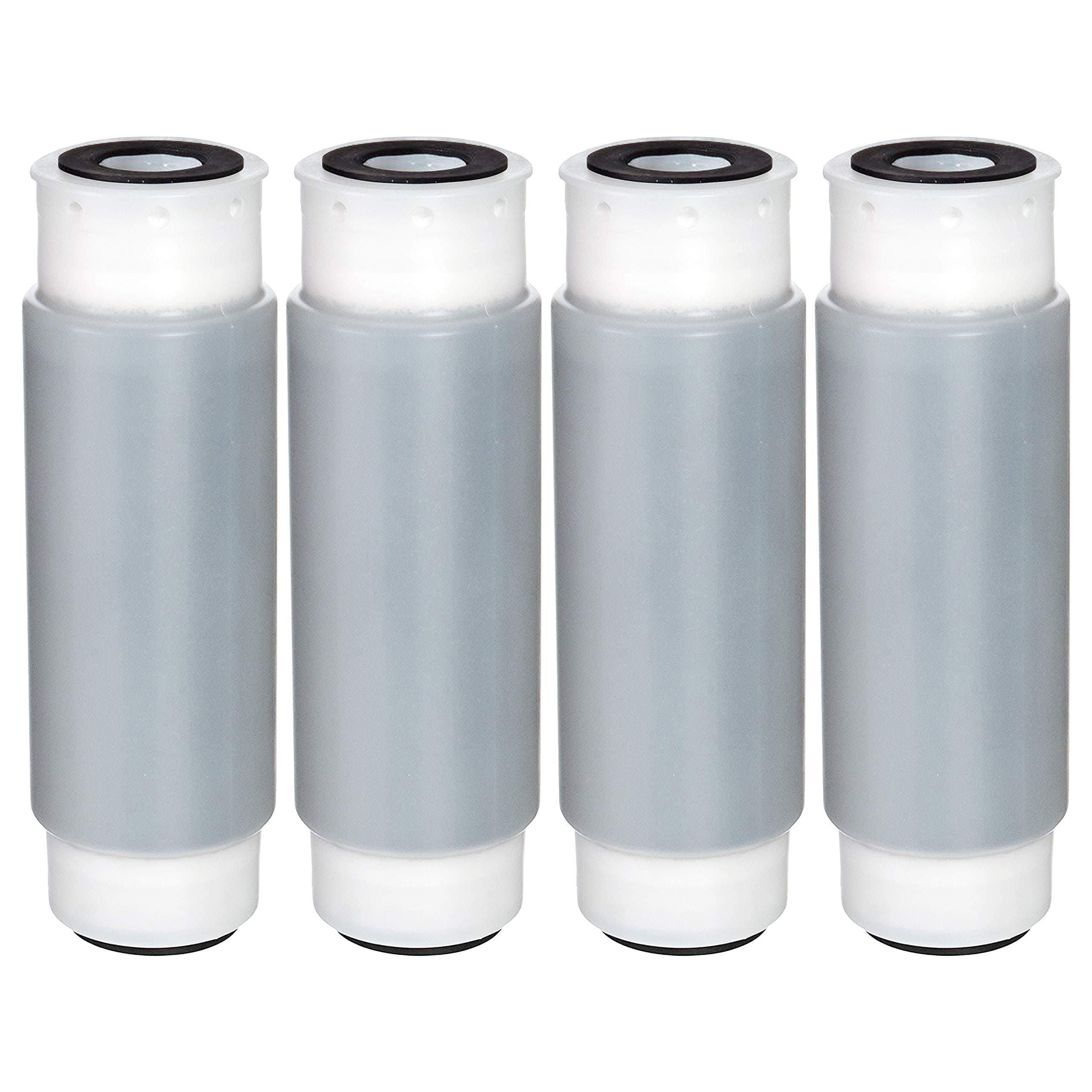 Whole House AP117 Carbon Water Filter