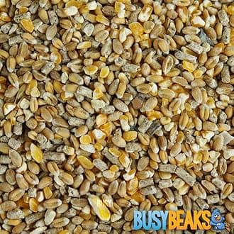 BusyBeaks Chicken Corn Extra | Premium Grade Poultry Feed | Nutritious Oyster Shell, Layers Pellets, Fibre Wheat & Split Maize | High Energy, Protein-Rich Food Mix | Perfect Year-Round Seed (7.5kg)