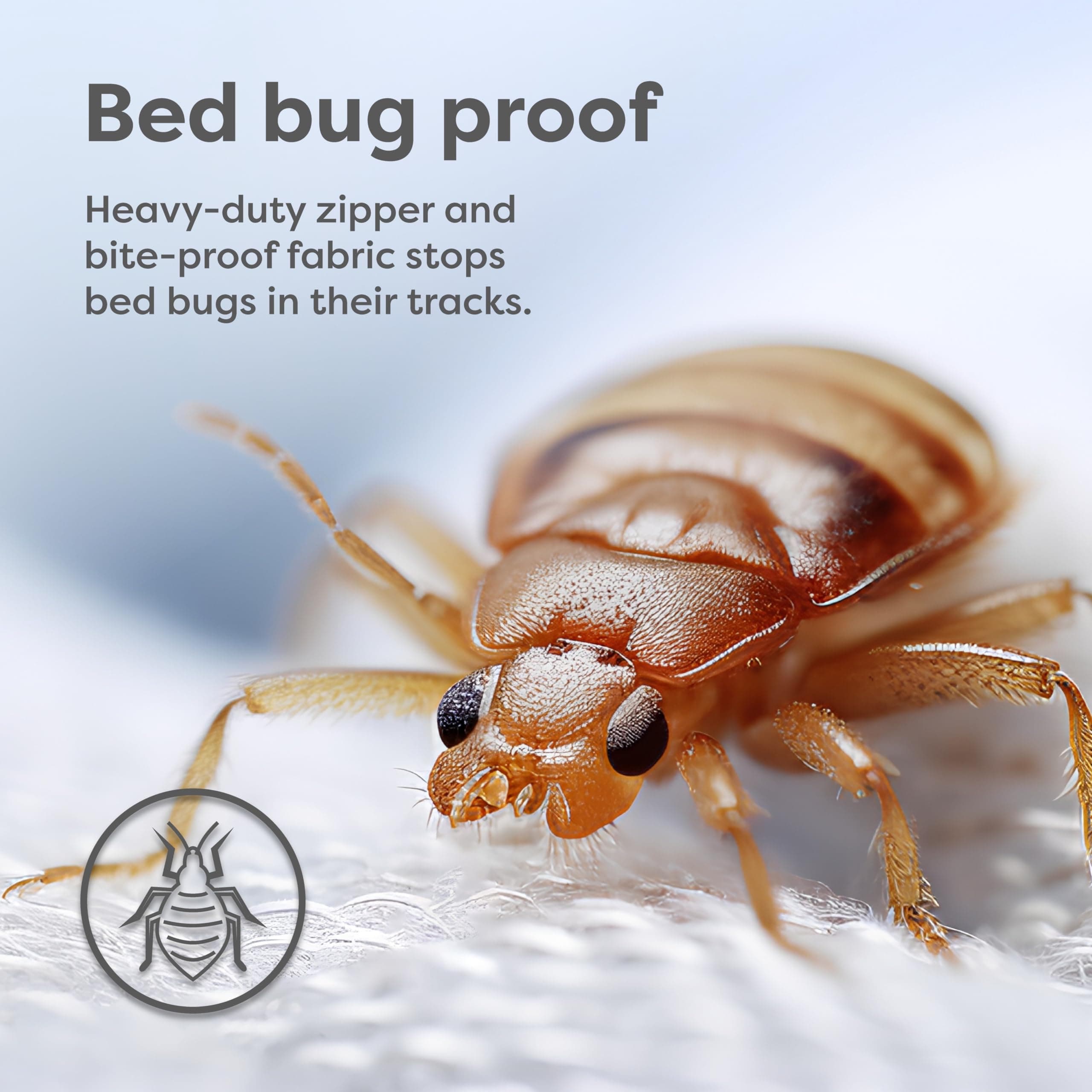 6 - 8 Deep , King 6 ULTRA LOW PROFILE : The Original Sleep Defense System - Waterproof / Bed Bug / Dust Mite Proof - PREMIUM Zippered Mattress Encasement & Hypoallergenic Protector - 78-Inch by 80-Inch, King - ULTRA-LOW PROFILE 6"