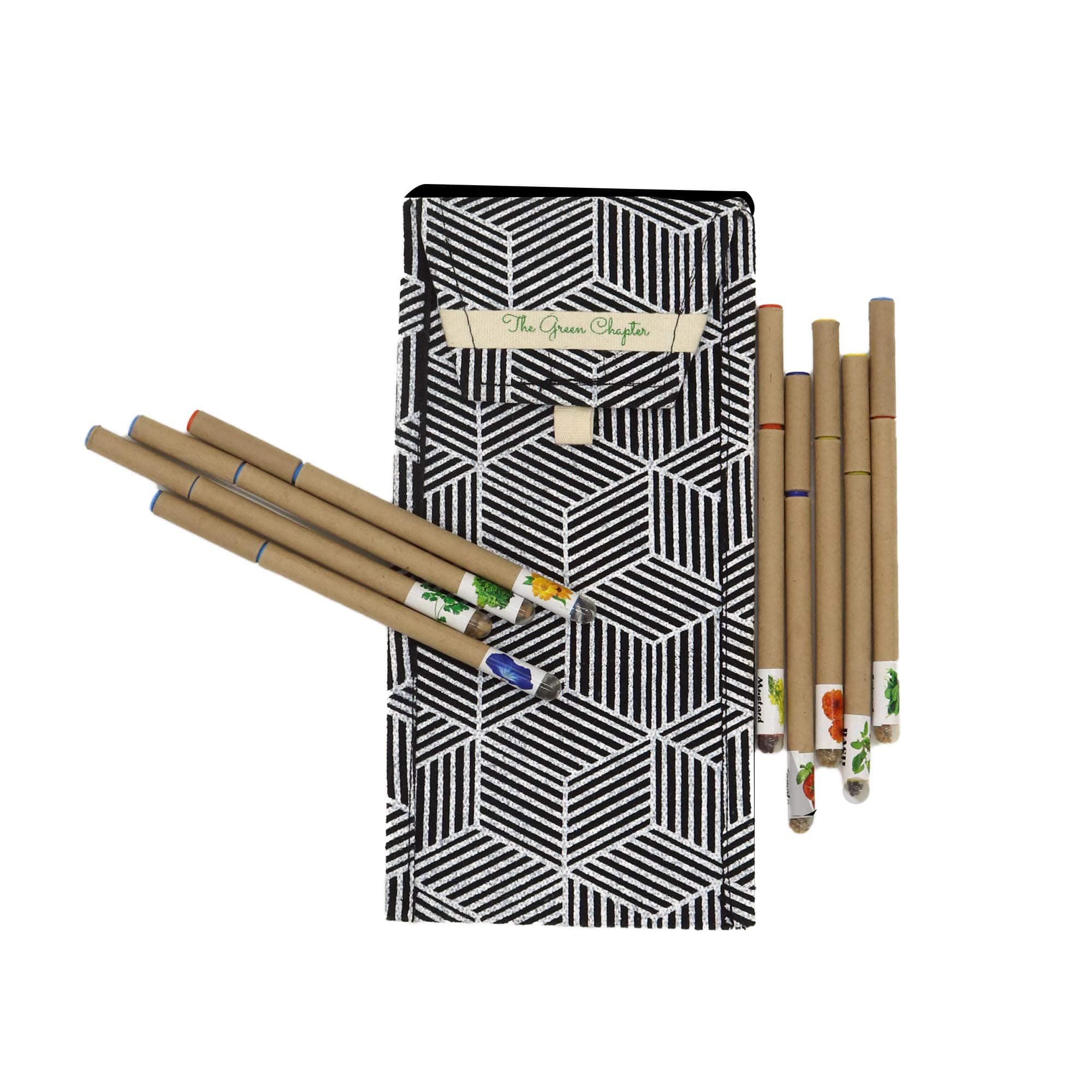 The Green Chapter Plantable Seed Pens – Eco-Friendly Biodegradable Seed Blue Ball Pens with Herbs & Flower Seeds, Sustainable Writing & Gifting, Eco-Conscious Writing (Pack of 10)