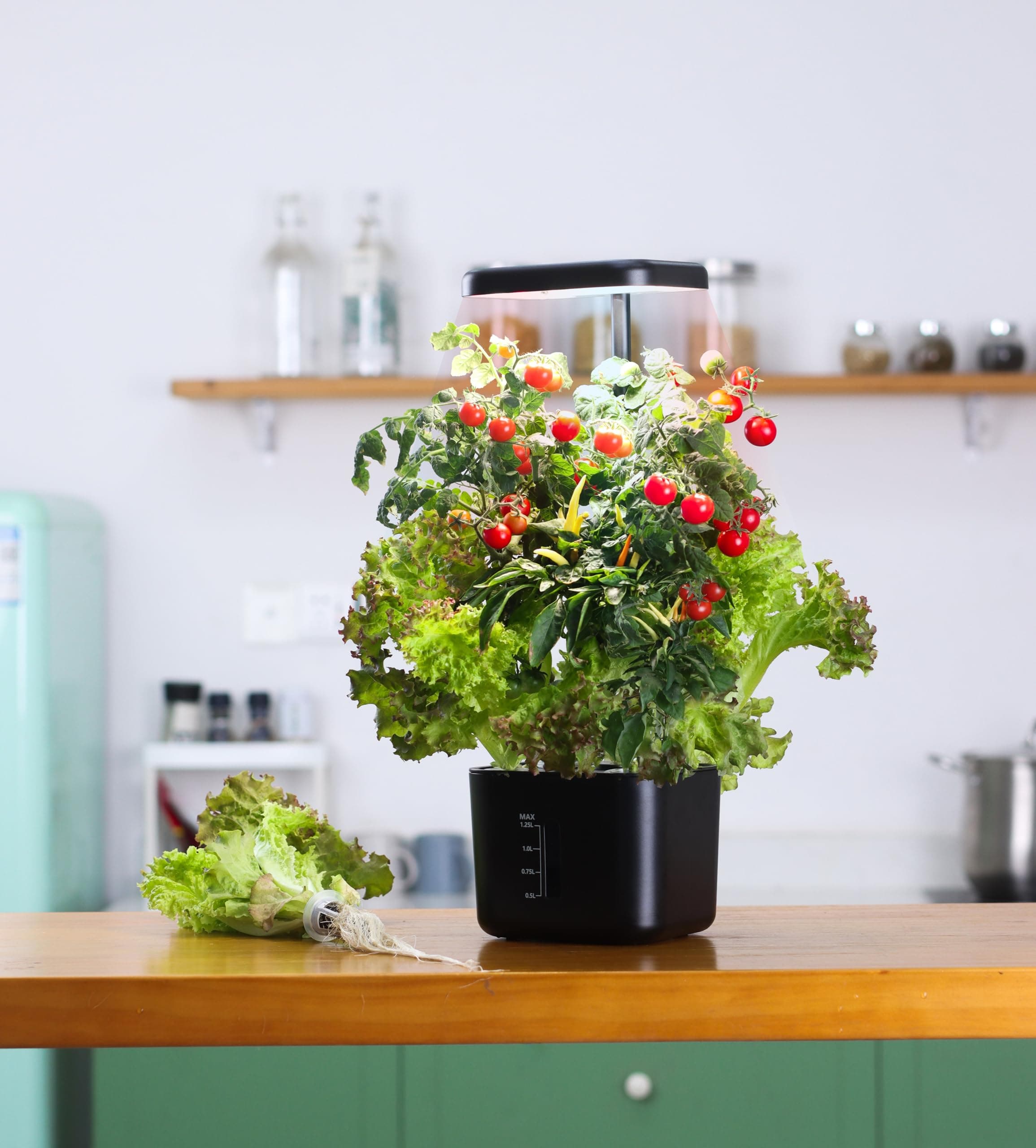 Hydroponics Growing System, Easy Vegetable and Flower Growing，4 Pods Garden Plant Germination Kit with Height Adjustable LED Grow Light, Indoor Herb Garden,Also a great gift for friends and family!