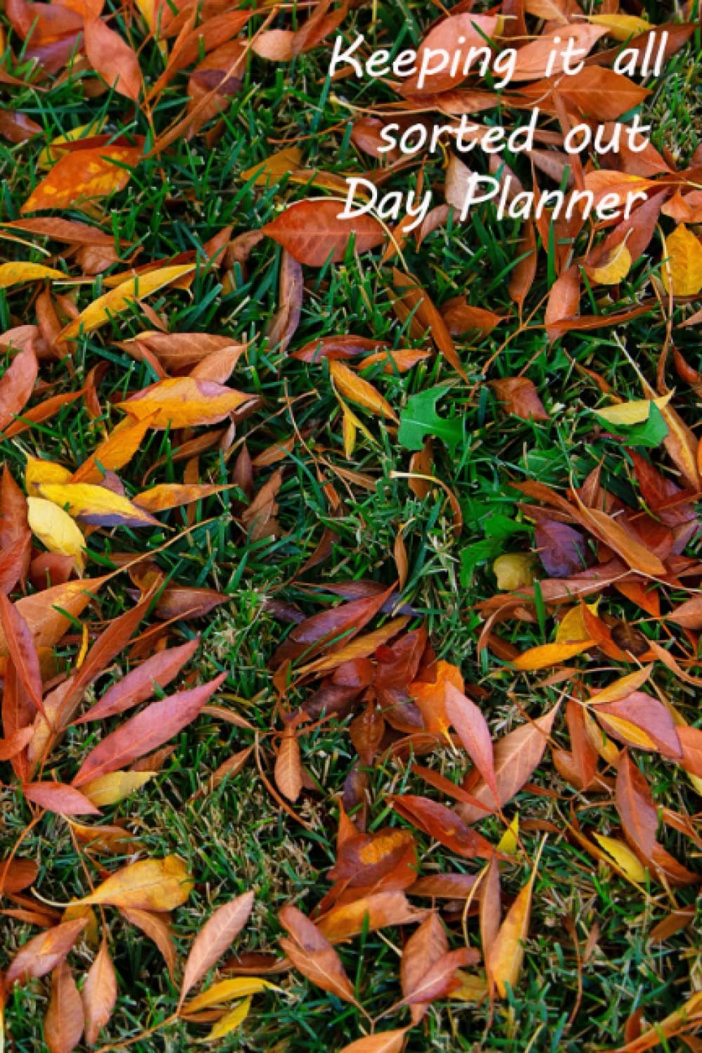 Keeping it all sorted out: Keeping your day planned in in order by making lists in your own personal journal.