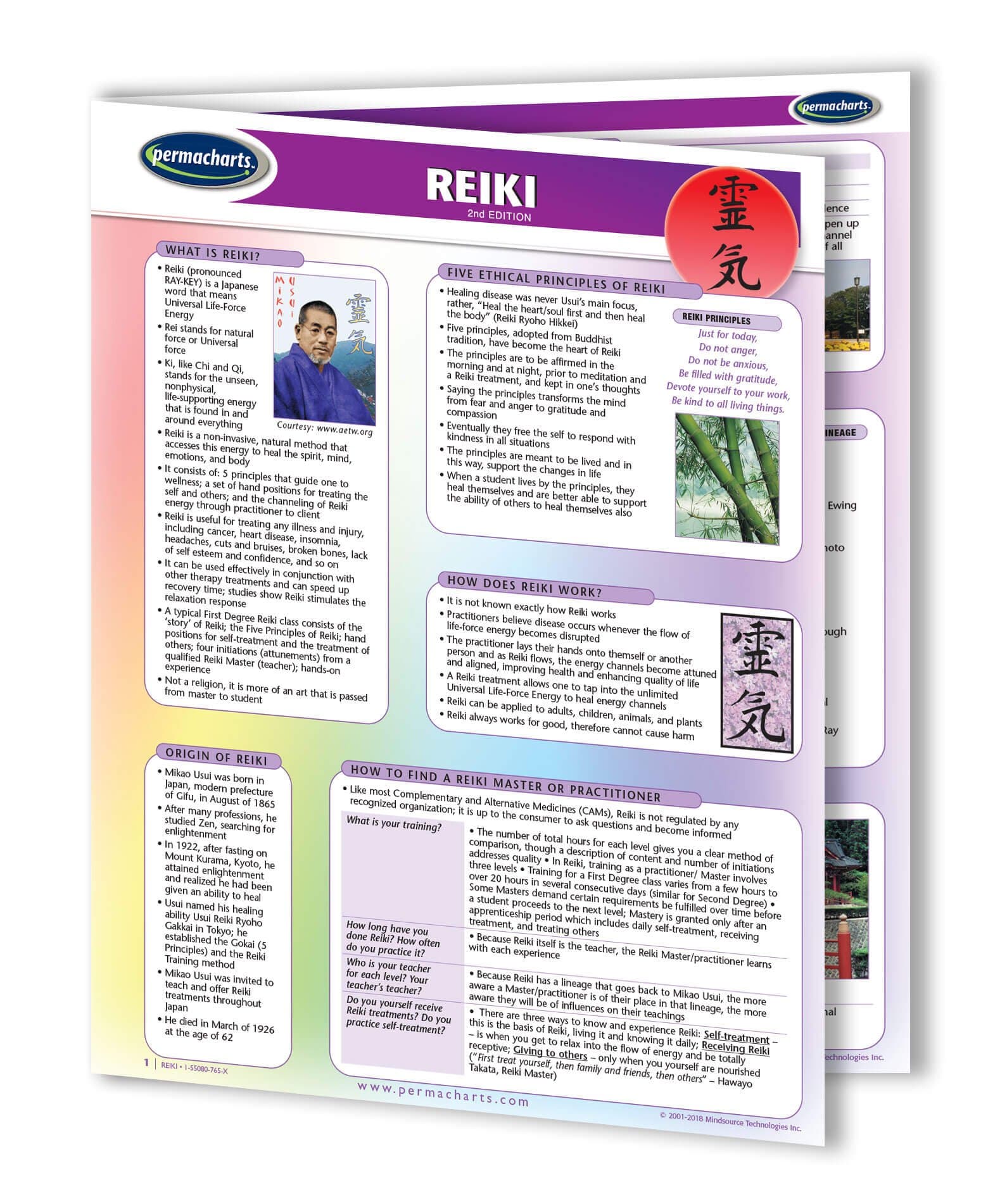 Reiki Guide - Holistic Heath Chart Quick Reference Guide by Permacharts