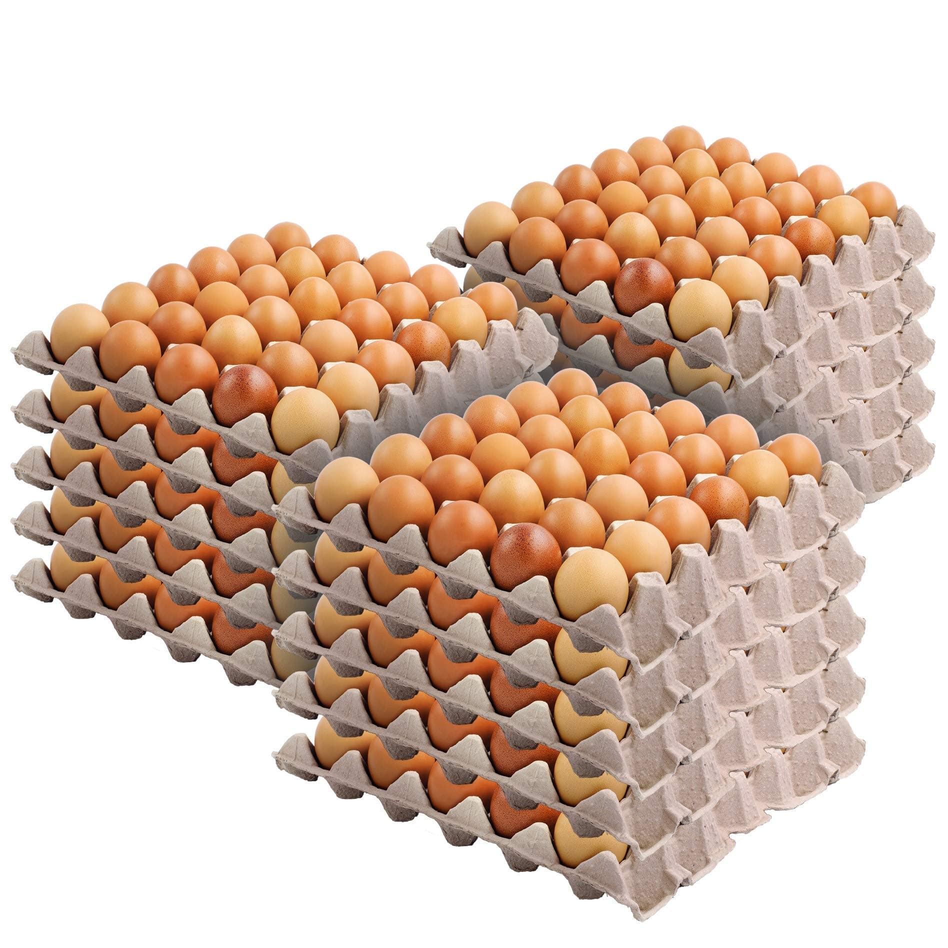 30-Cell Egg Crates (15 Pack) - Recyclable & Stackable Pulp Fiber Egg Flats for Egg Packing, Small Tools, Automotive Parts, Roach Colony - Cardboard Egg Cartons for Soundproofing - Stock Your Home