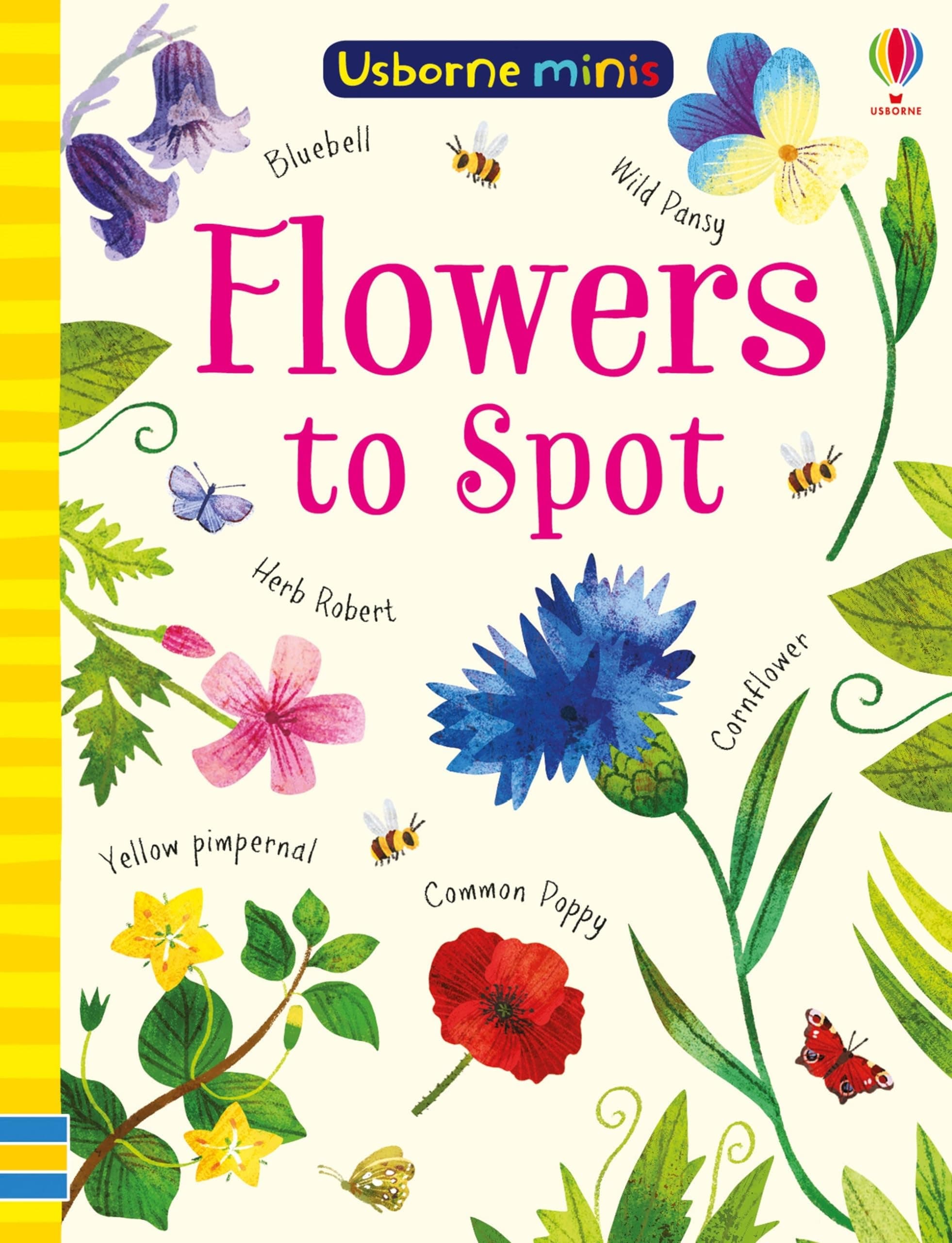 Usborne GB Flowers to Spot