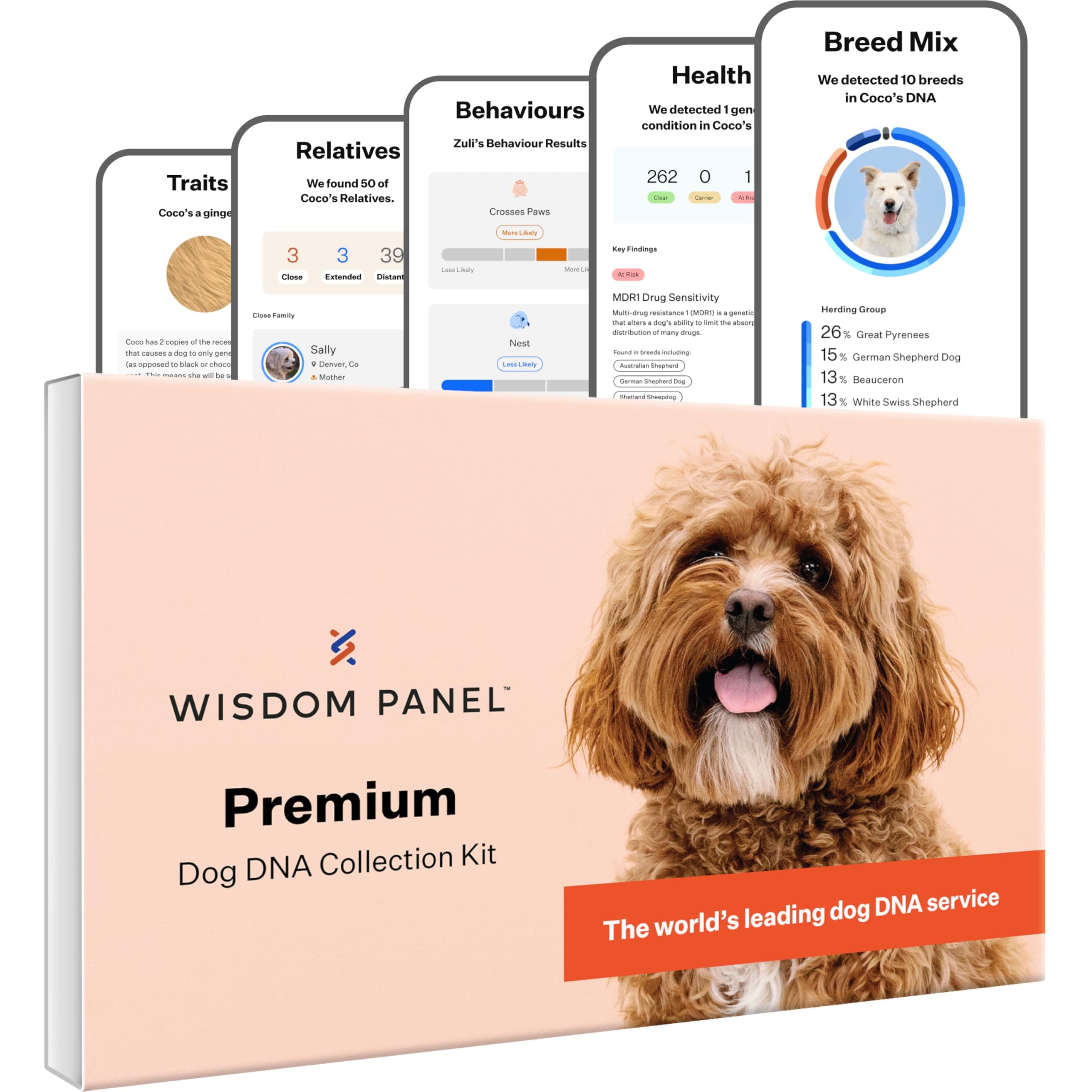 Wisdom Panel Premium: Most Comprehensive Dog DNA Test for 260+ Health Tests | Accurate Breed ID and Ancestry | Traits | Relatives | Behaviours | Vet Consult