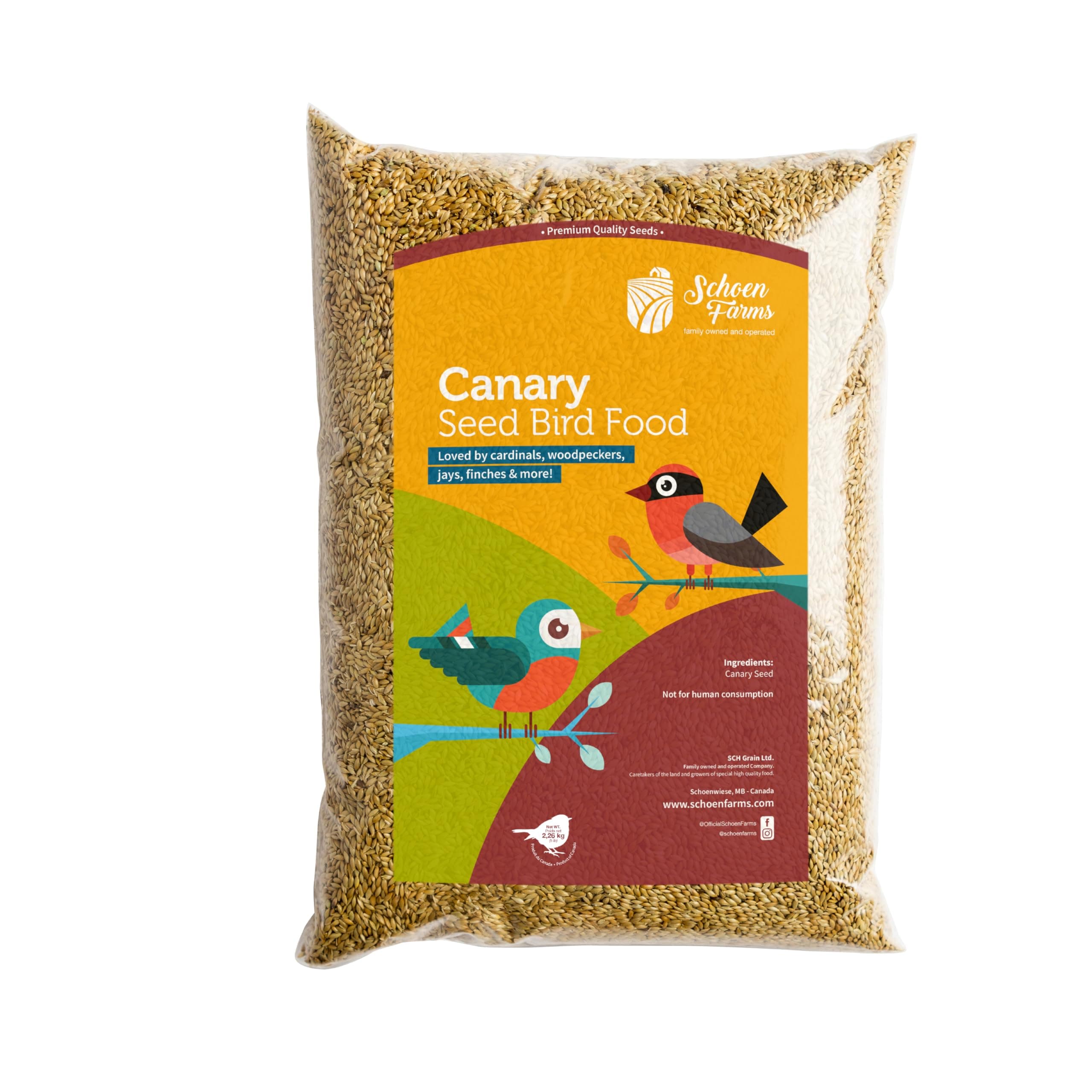 Canary Seed ALPISTE (5 LBS)