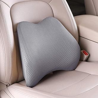 Memory Foam Lumbar Support Pillow for Back Pain Relief, Back Cushion for Car Seat (Gray)