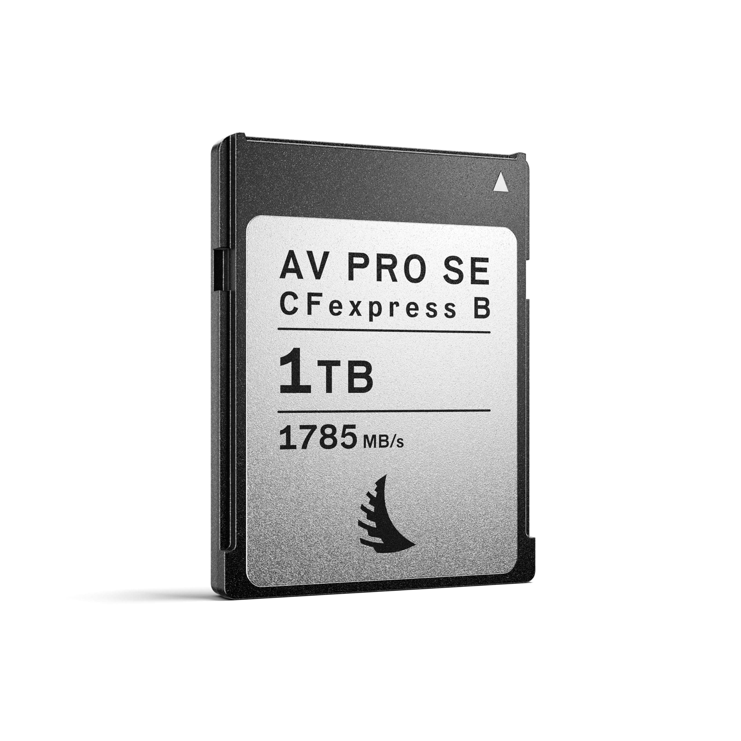 AV PRO CFexpress B SE - 1 TB - CFexpress Type B Memory Card - All-Rounder Capacity - for Advanced Video and Photo Content Production - up to 12K+ RAW