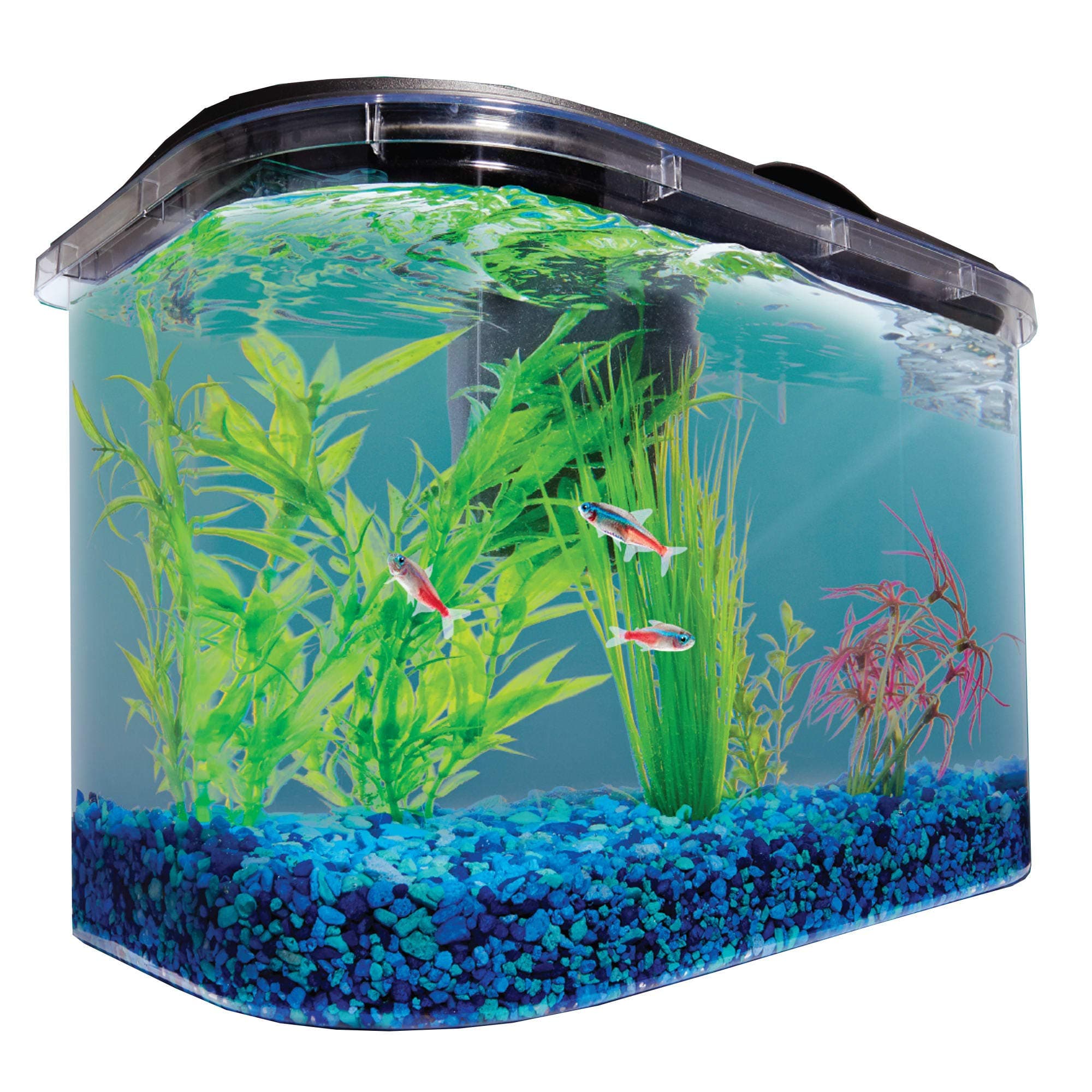 imagitarium5.2 Gallon Freshwater Aquarium