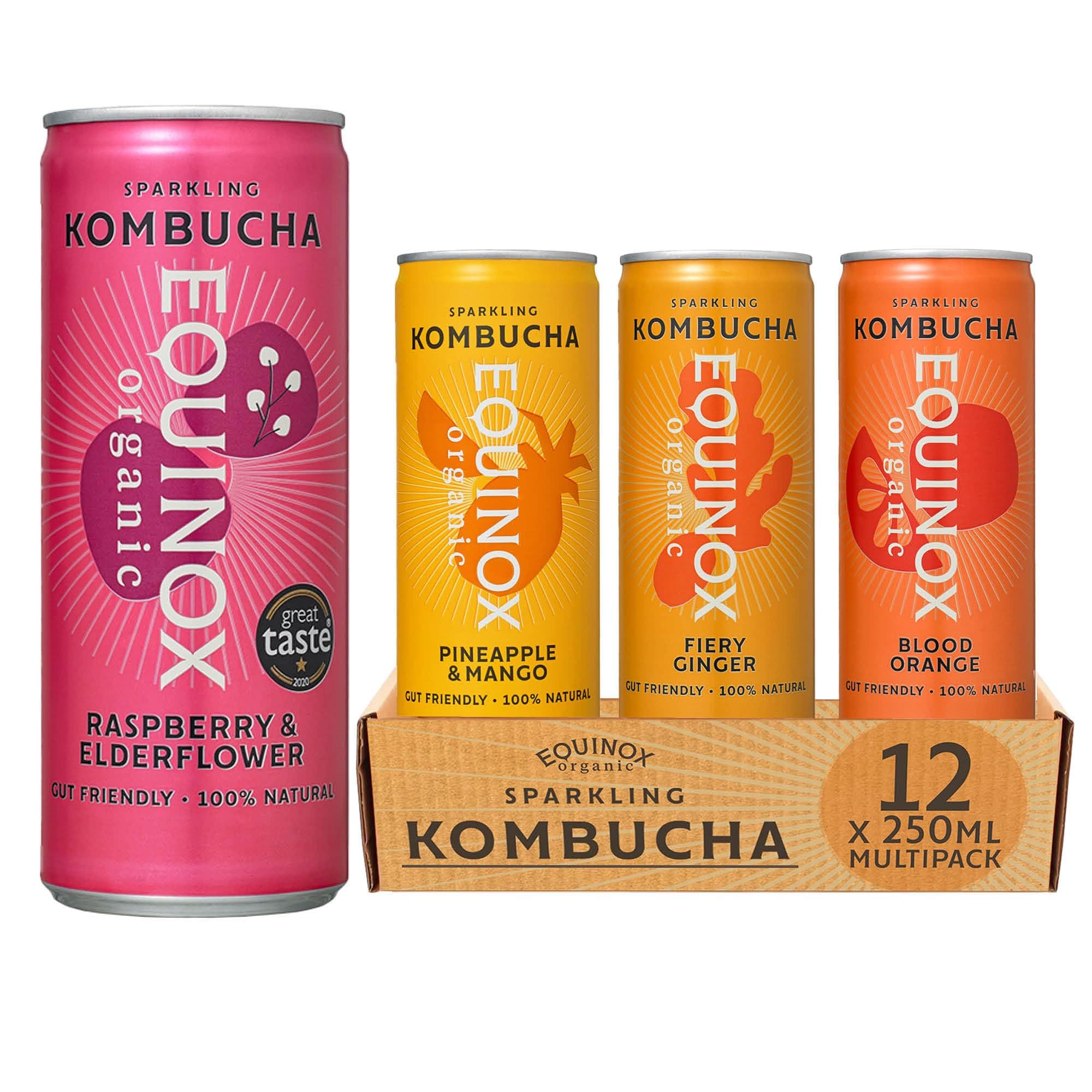 Equinox Kombucha - 4 Flavour Multi-Pack - Sparkling Refreshing Drink with Live Kombucha Cultures (Pack of 12 x 250 ml)