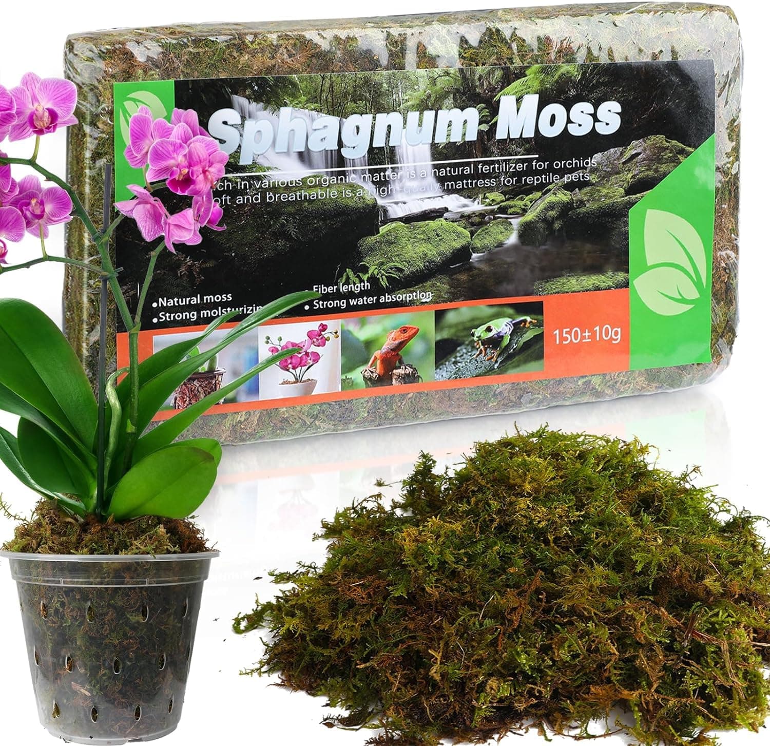 Doter Dried Forest Moss for Plants (5 qt / 1 Pack), Sphagnum Potting Moss for Various Plants, Including Orchids, Carnivorous Plants, Succulents, Garden Flowers, and Reptiles