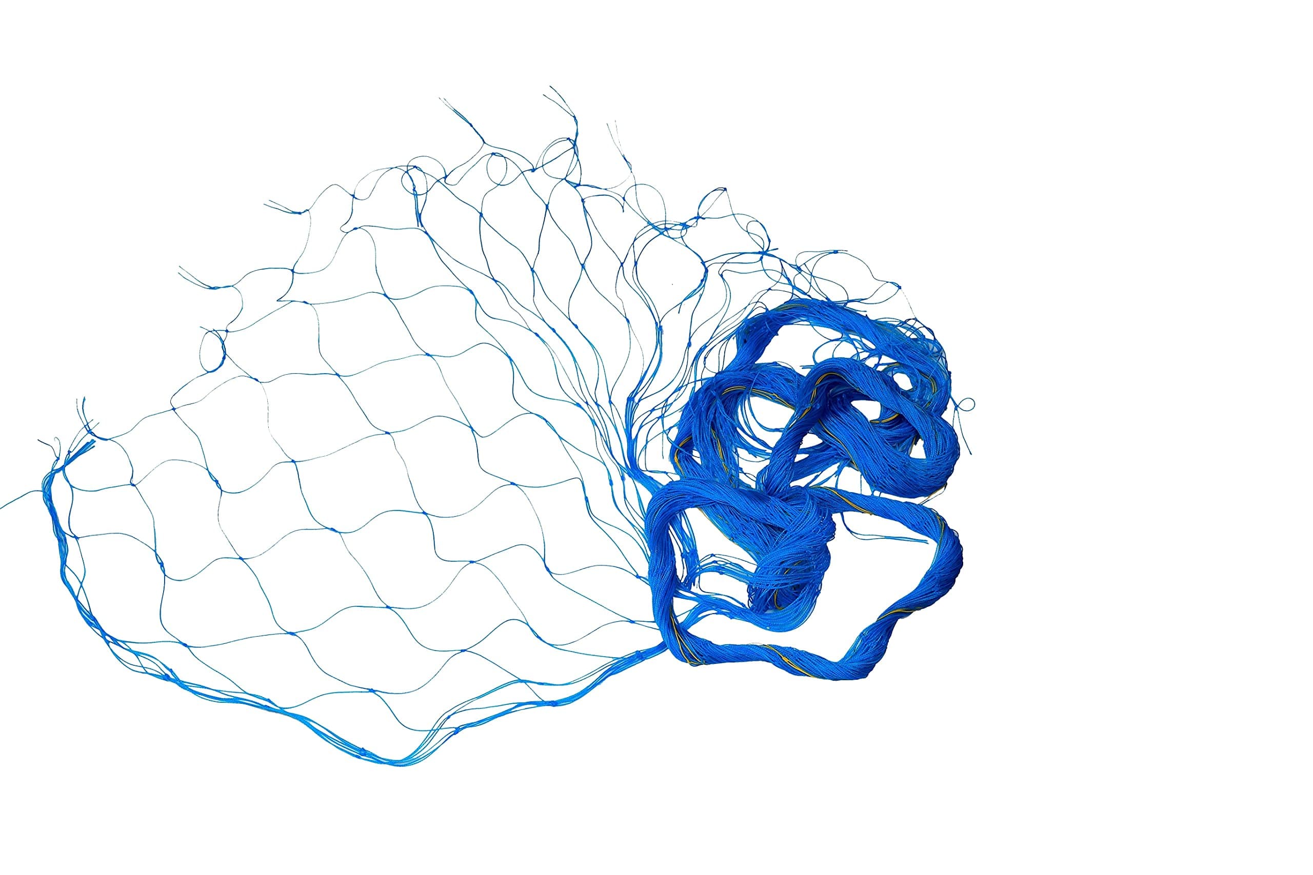 AurusAgro Creeper Plant Support Net(4Mts X 3.5Mts) Insect Net