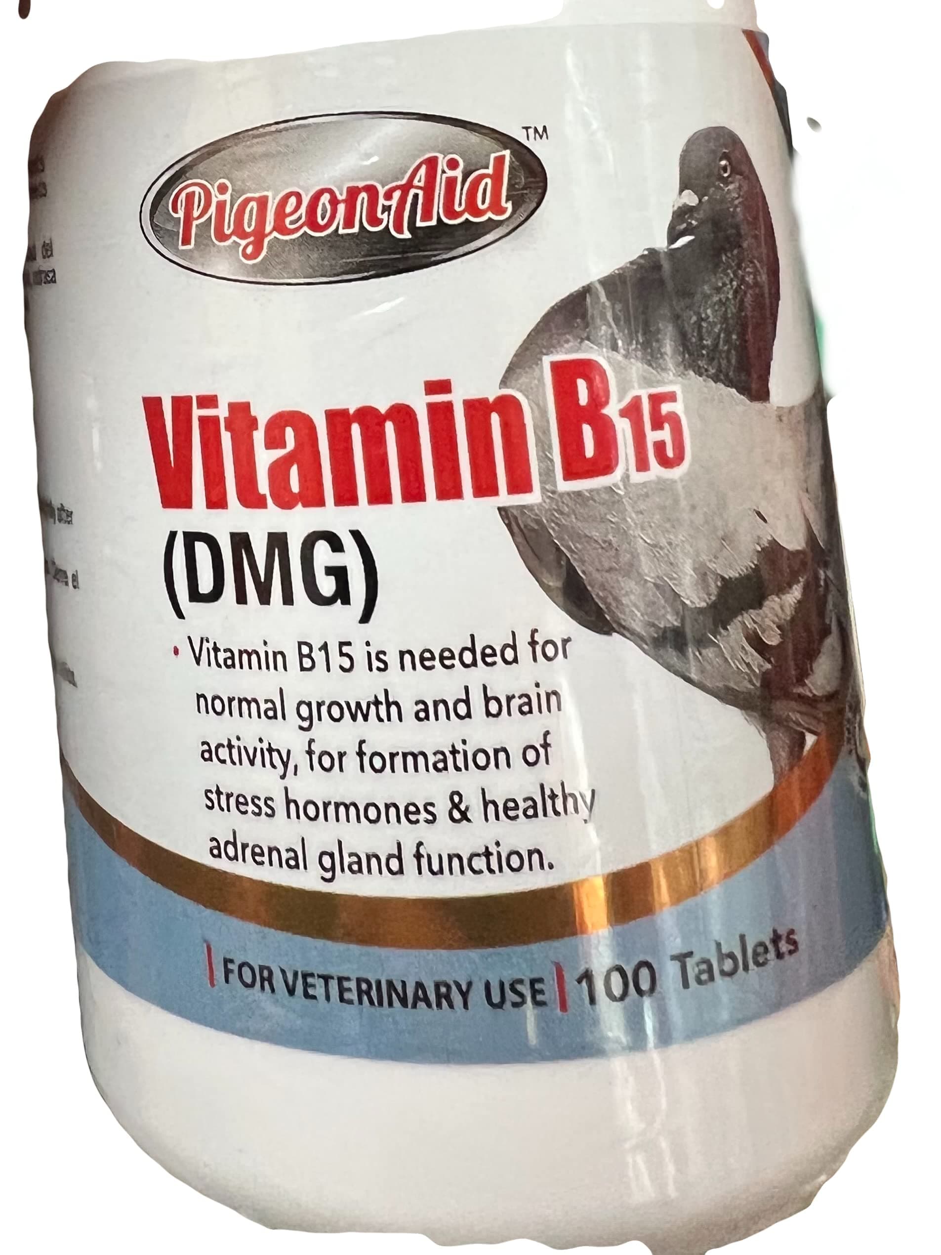 Vitamin B15 (DMG) 100 Tablets PALOMAS Pigeons