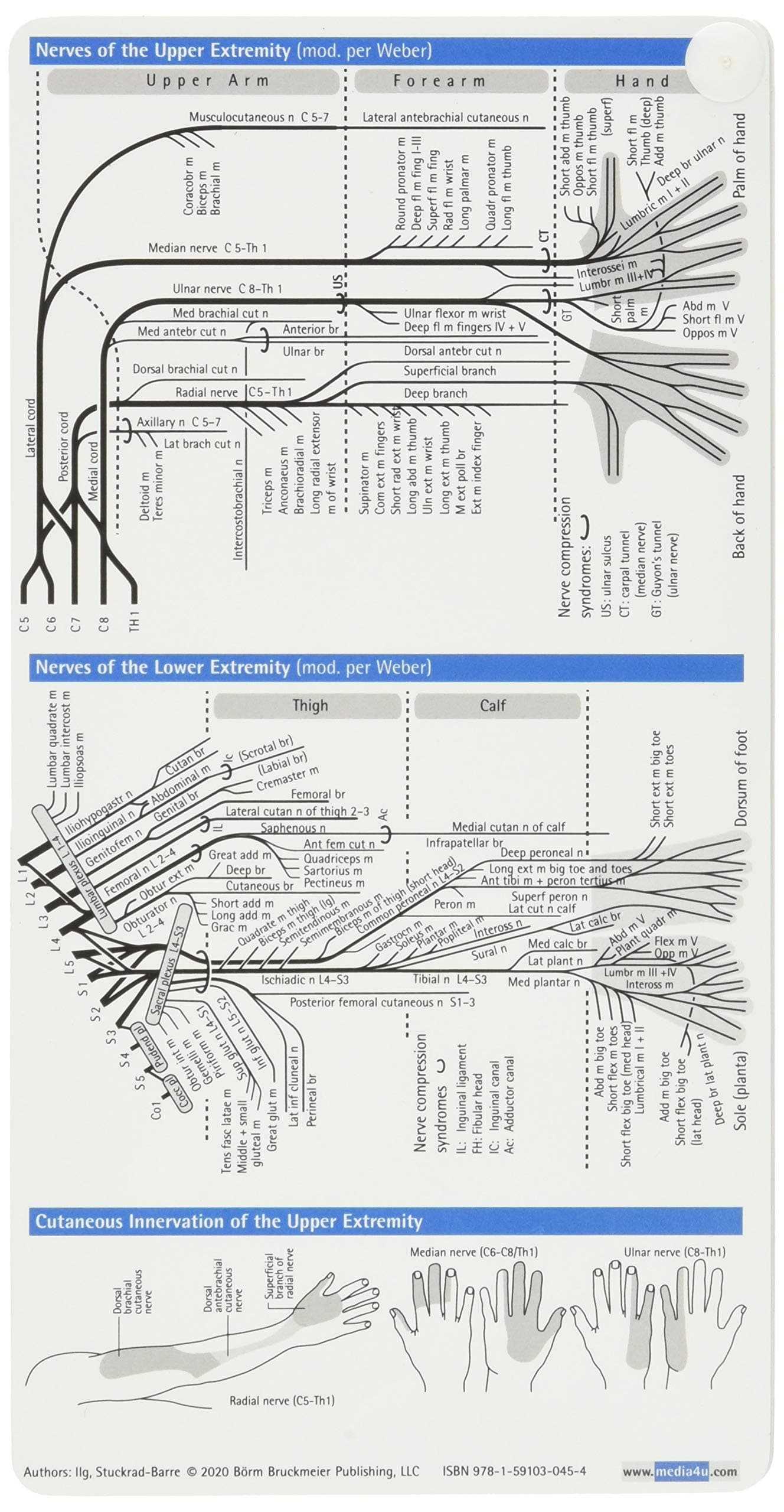 Neurology Pocketcard Set