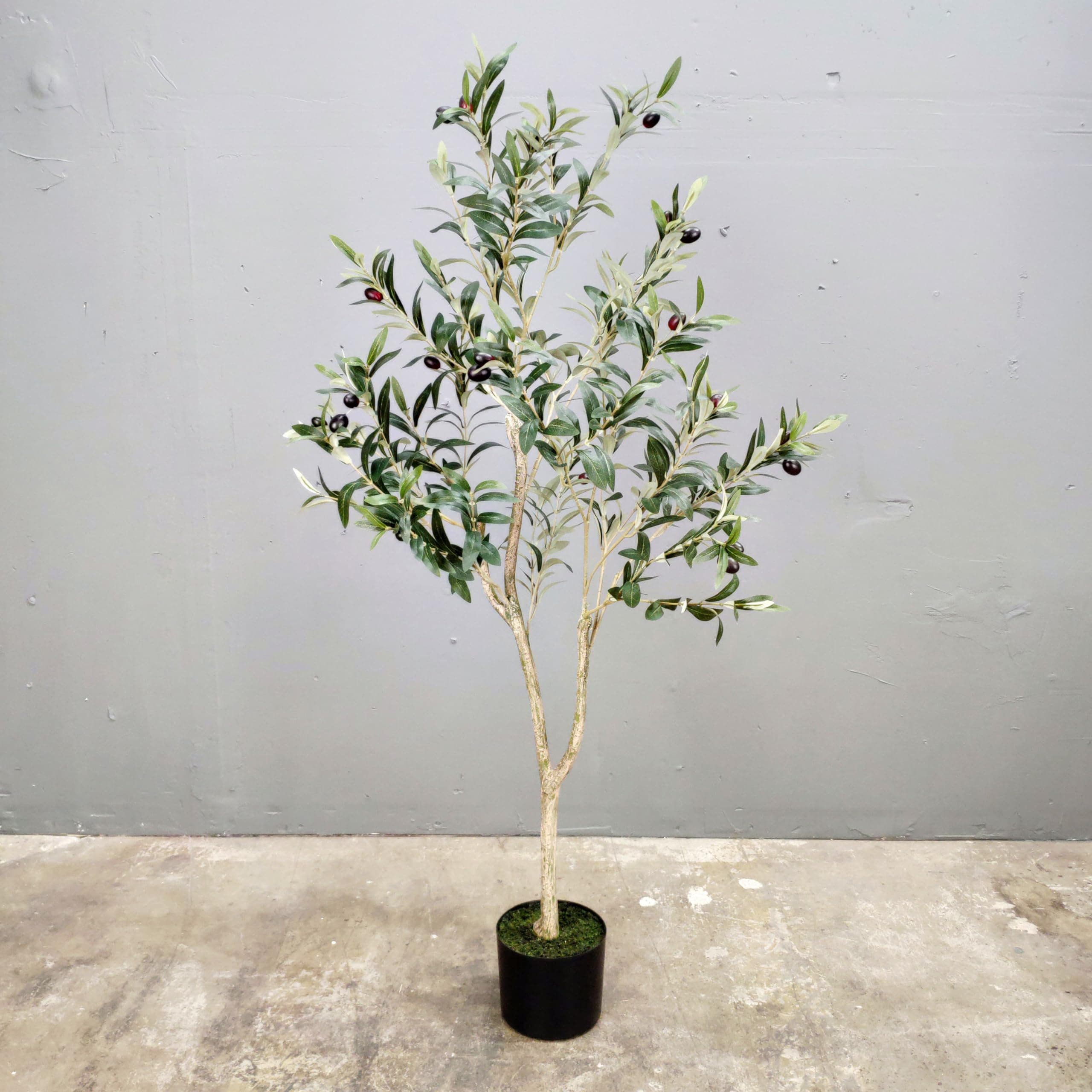 4-Feet Olive Silk Tree,Artificial Silk Plant,artificial tree Green (4 Feet Olive Silk Tree)