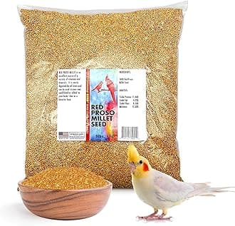 Morning Bird Red Proso Millet Bird Seeds 9 lbs – Healthy & Nutritious Pet Bird Food - Bird Seeds for Feather Growth – Perfect for Finches, Parakeets & Other All Pet Birds