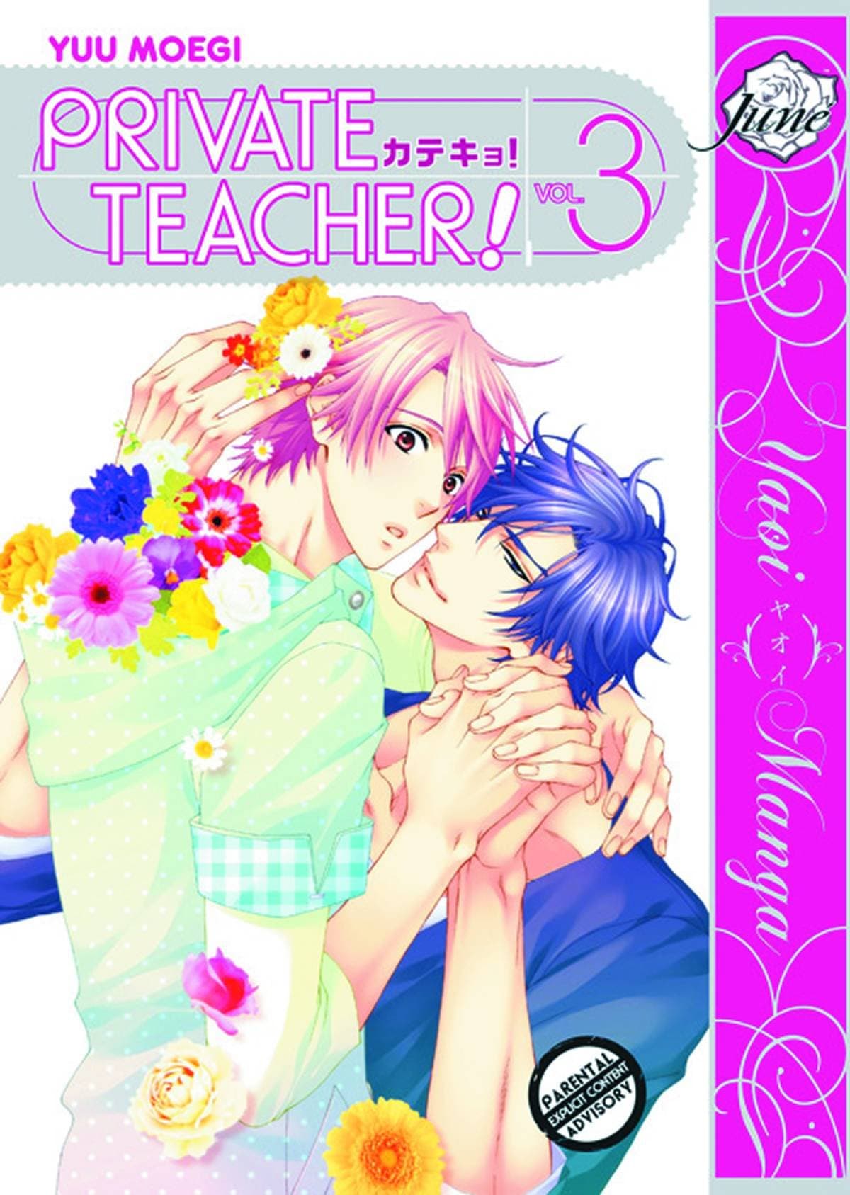 Private Teacher Volume 3 (Yaoi) Paperback – May 29, 2012
