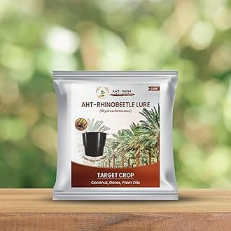 AHT-INDIA | Rhinoceros Beetle Oryctes Rhinoceros, for Coconut Tree Insects Lure without Bucket Trap (Pack of 10)