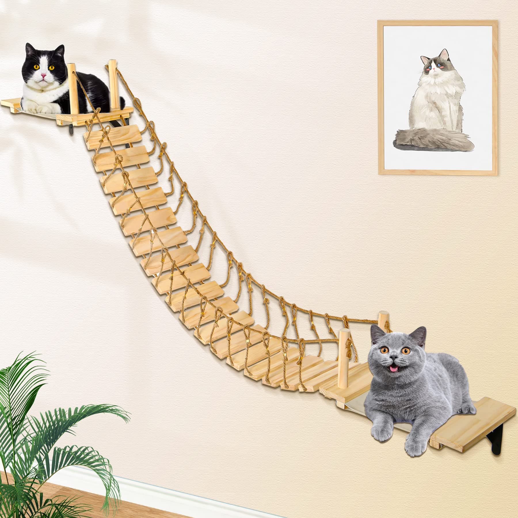 Calmbee Cat Wall Shelves - 70" Cat Bridge Hammock Tree with Mounted Perch & Cloud Shelf