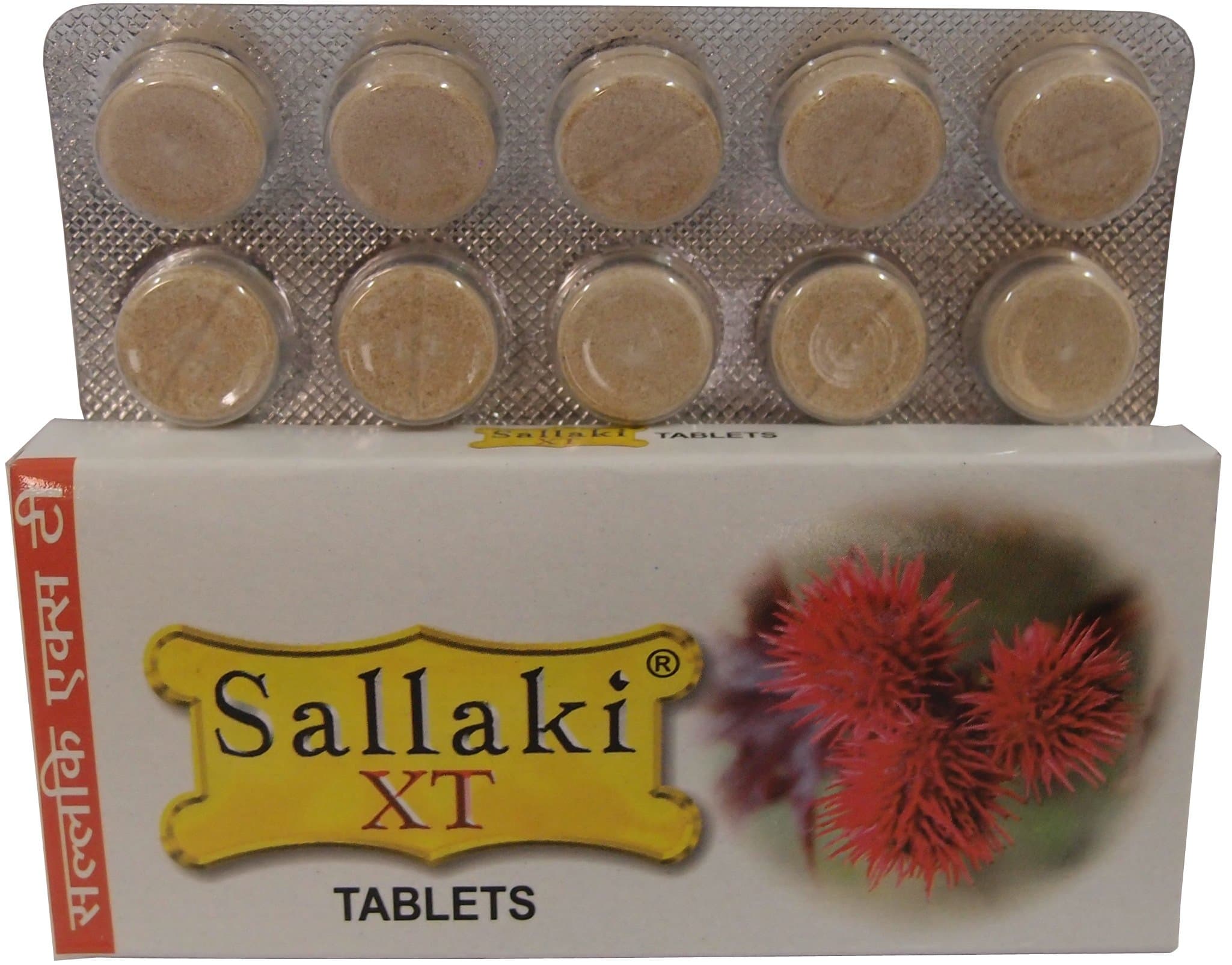 Gufic Sallaki XT 10 Tablets