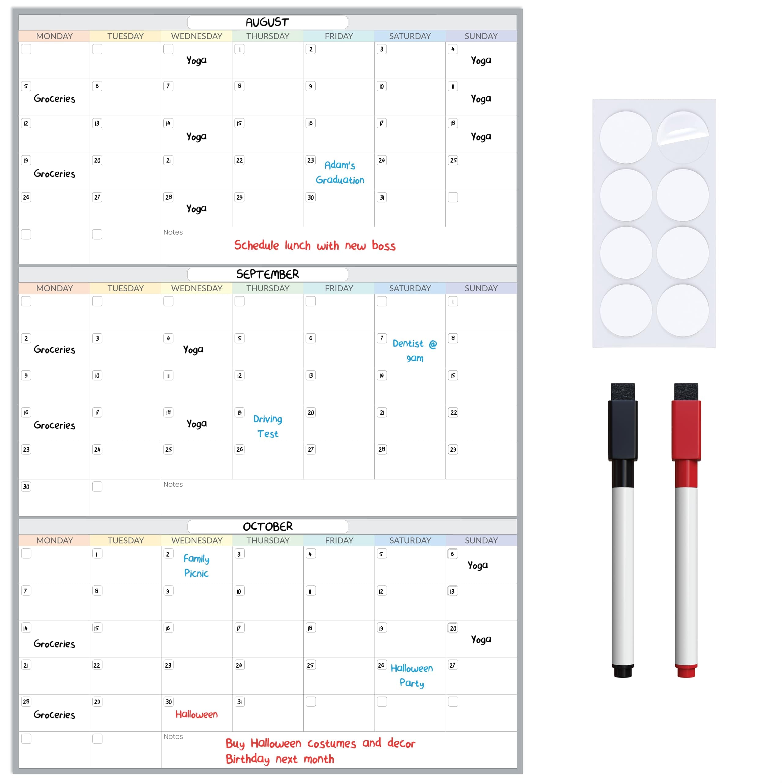 Reusable Wall Planner Set 3 Months A1 (87 x 58cm) Thick Laminated Wall Calendar Undated Erasable with Marker & Mounting Pads for Family School Office