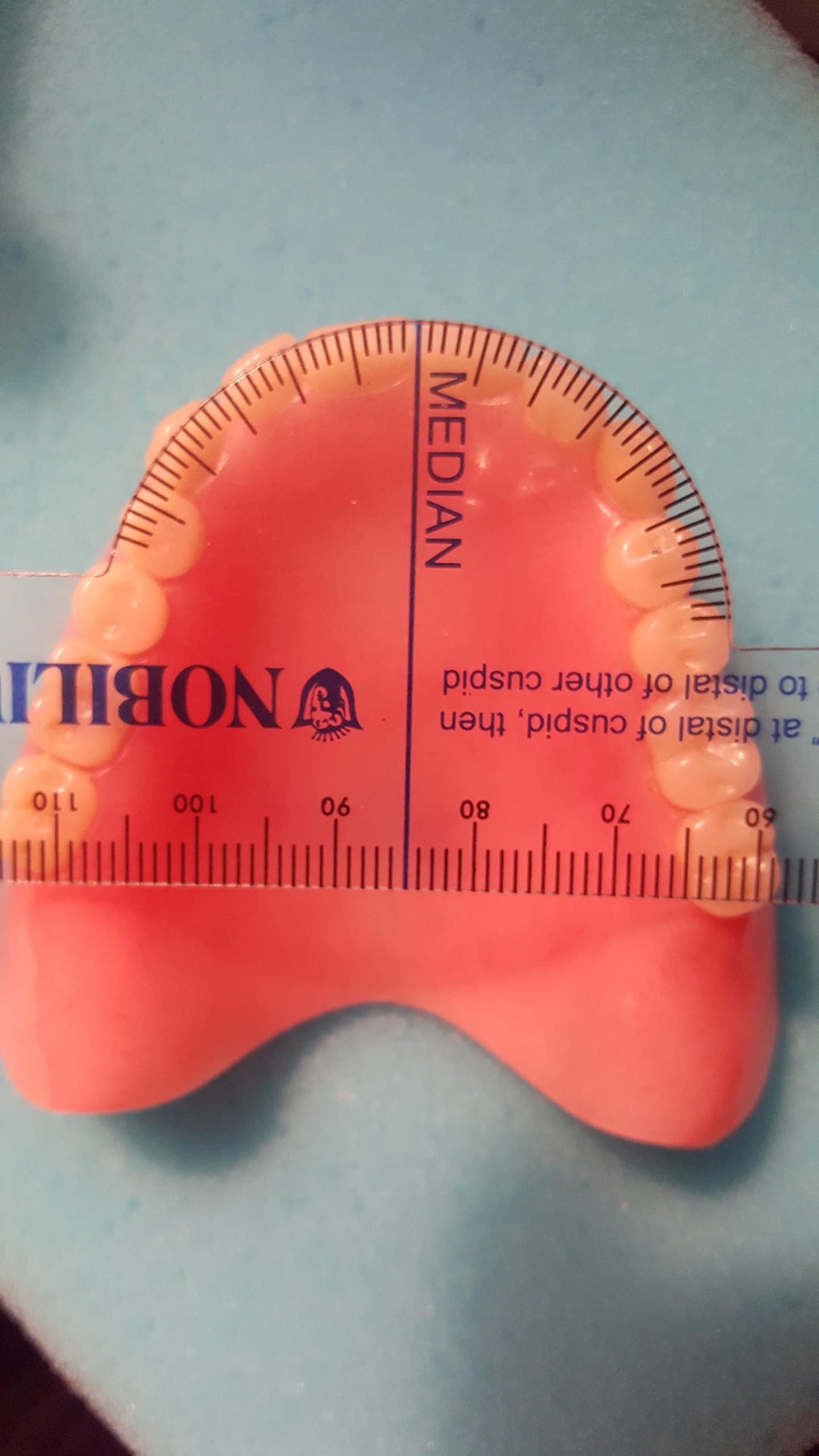 Flexible Denture Millimeter Dental Ruler Trubyte