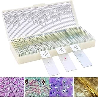 60 Microscope Slides with Specimens